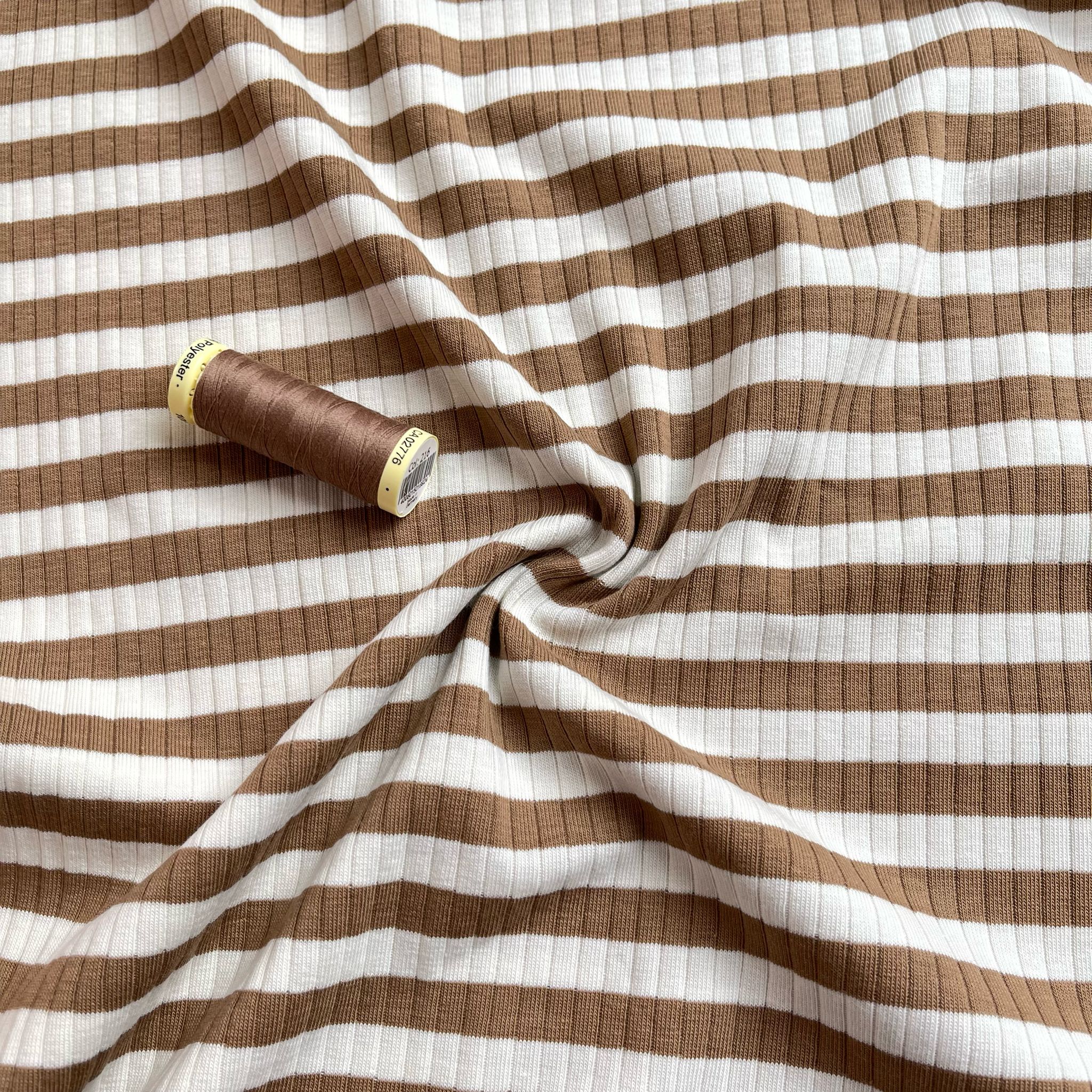 Yarn Dyed Striped Cotton Ribbed Jersey in Mocha Brown and White