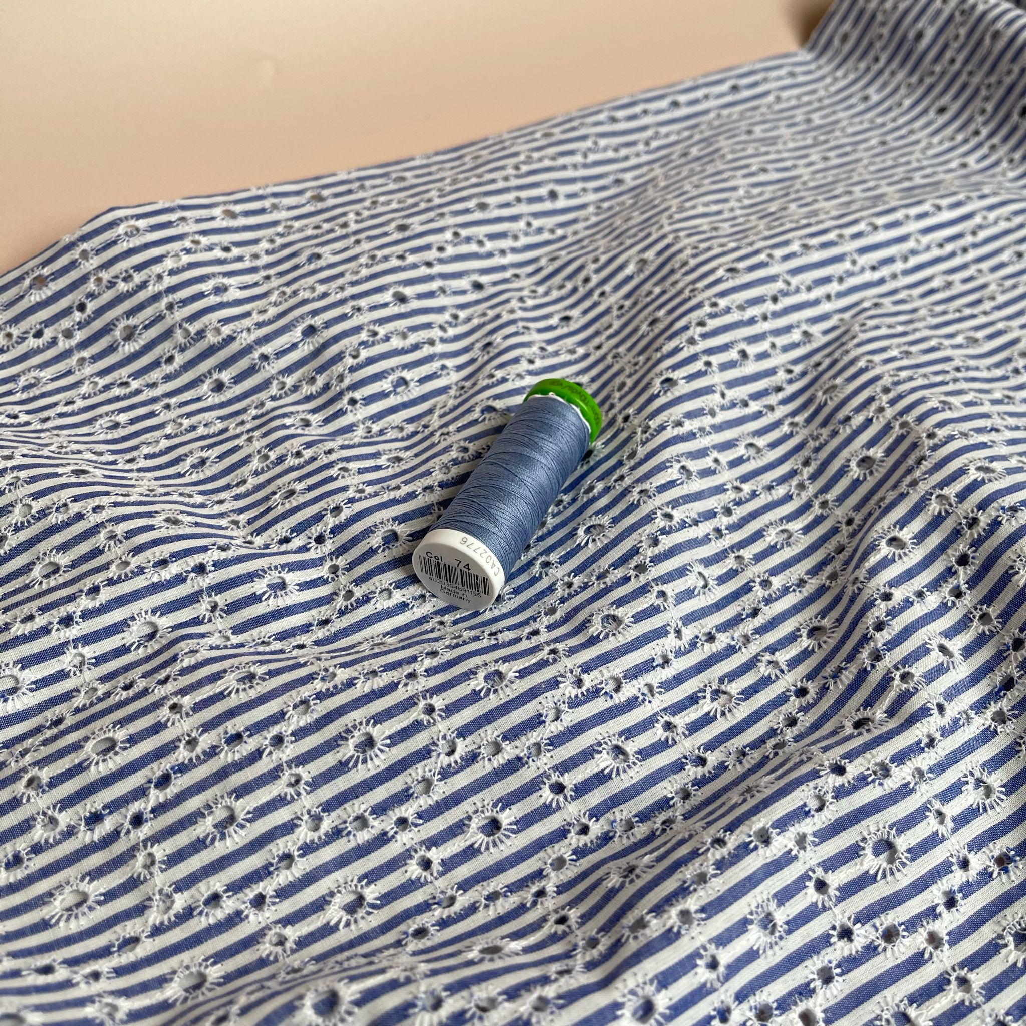 Blue Striped Broderie Anglaise Cotton Fabric