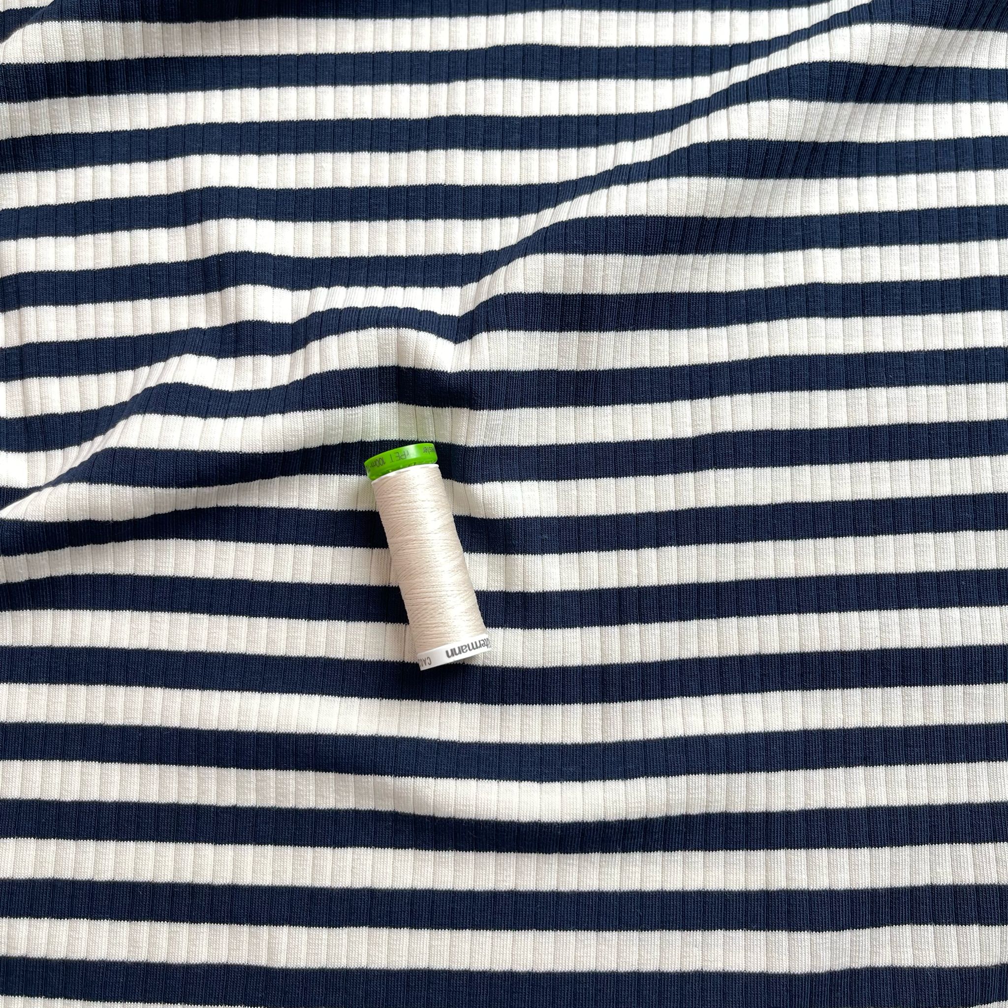 Yarn Dyed Striped Cotton Ribbed Jersey in Navy and White