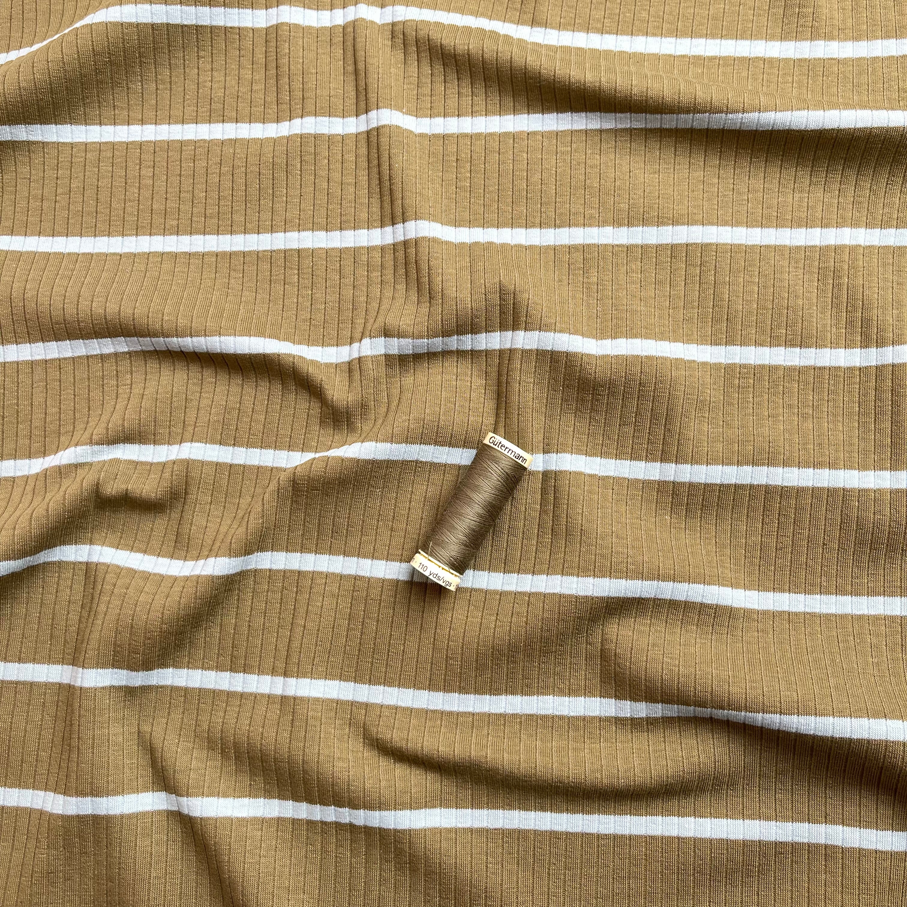 Yarn Dyed Striped Cotton Ribbed Jersey in Khaki & Mint