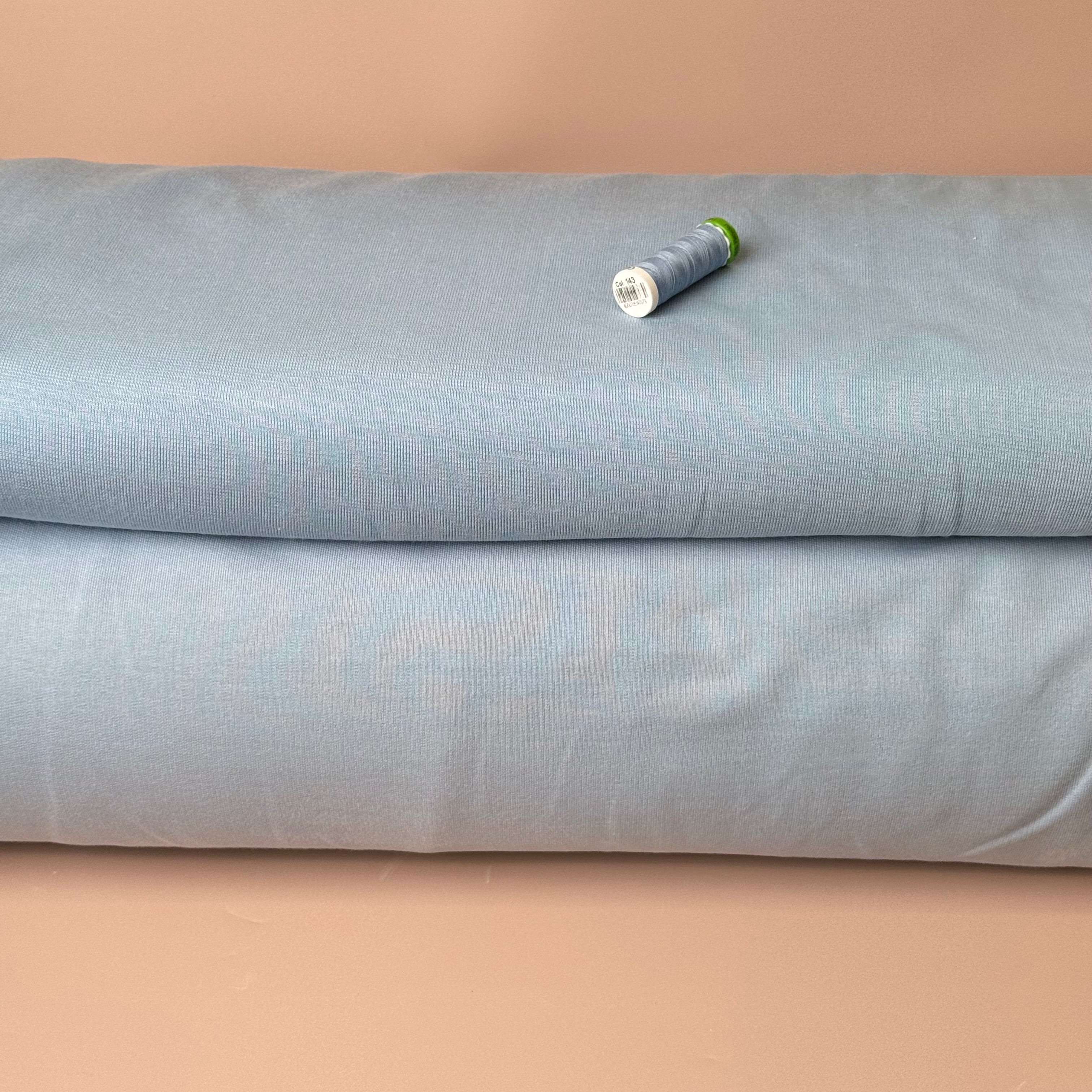 Deadstock Pure Cotton French Terry in Light Blue