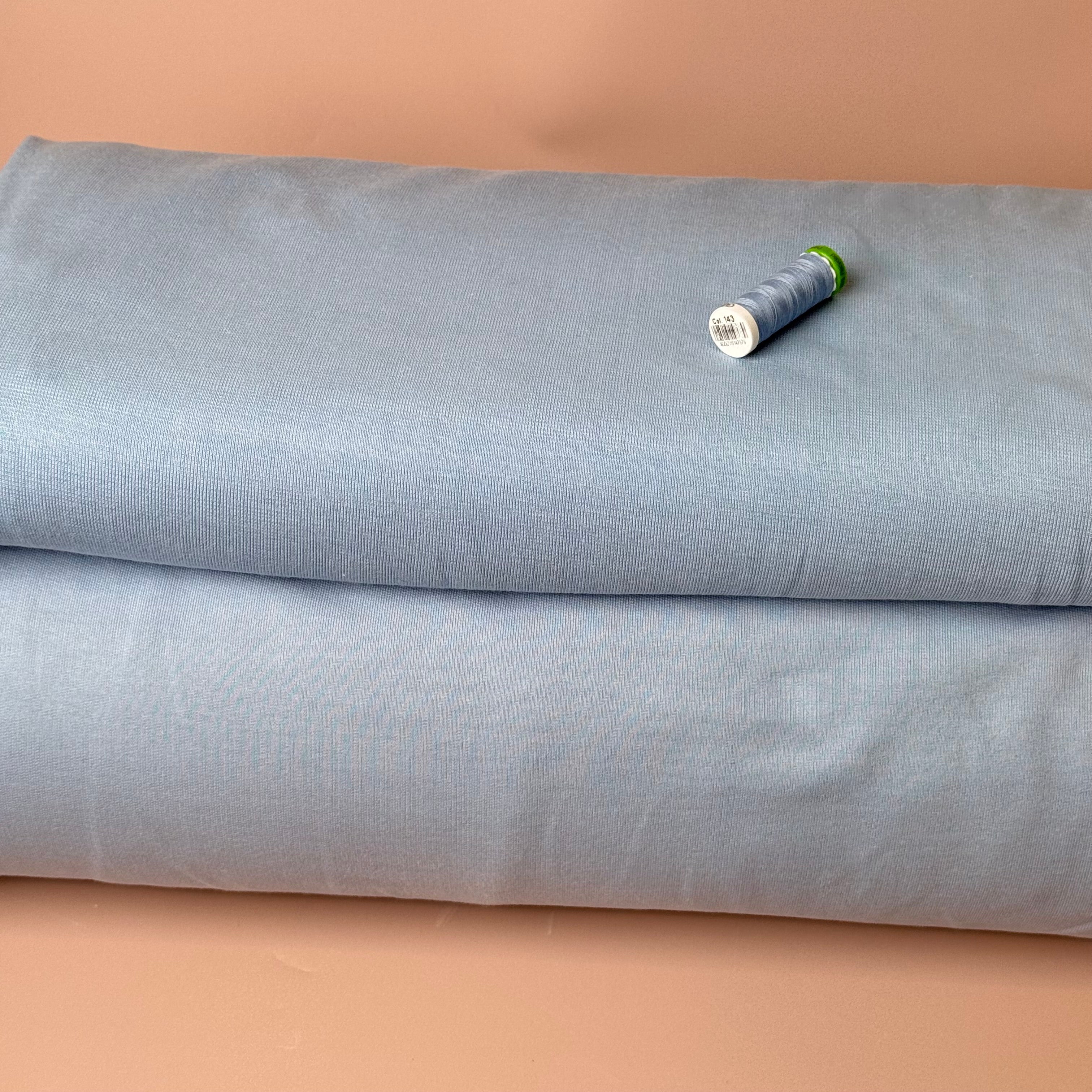 Deadstock Pure Cotton French Terry in Light Blue
