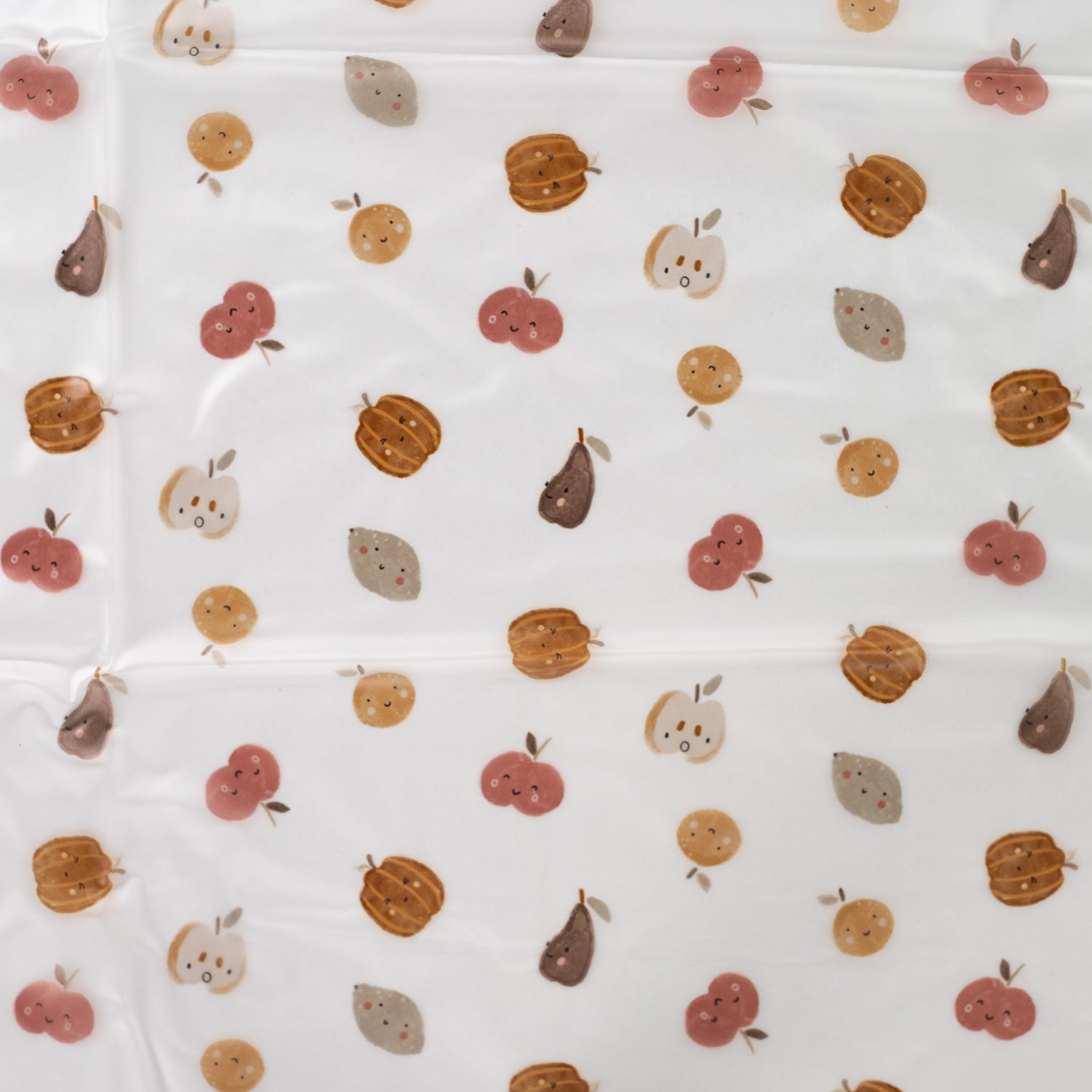 Autumn Harvest Transparent Raincoat Fabric