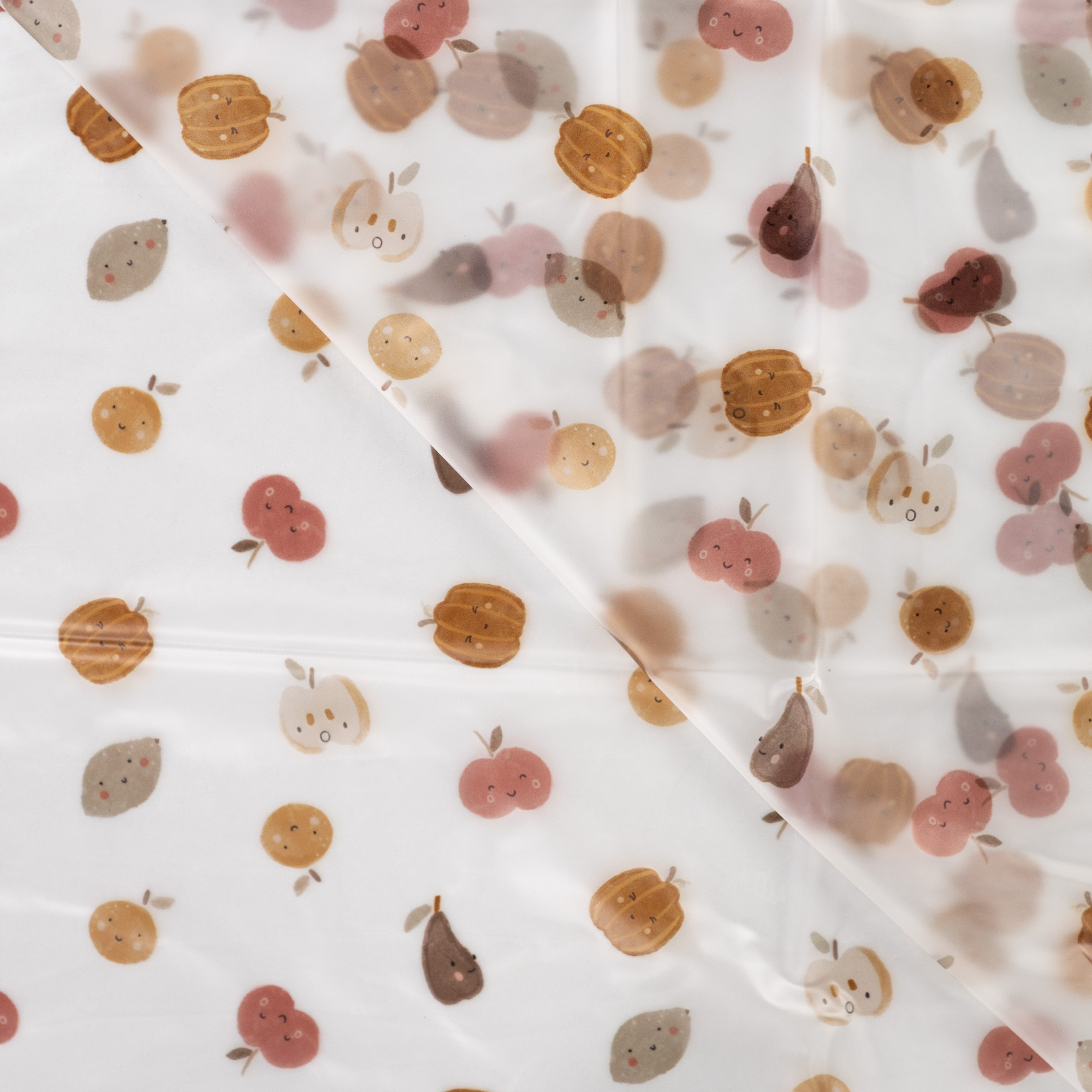 Autumn Harvest Transparent Raincoat Fabric
