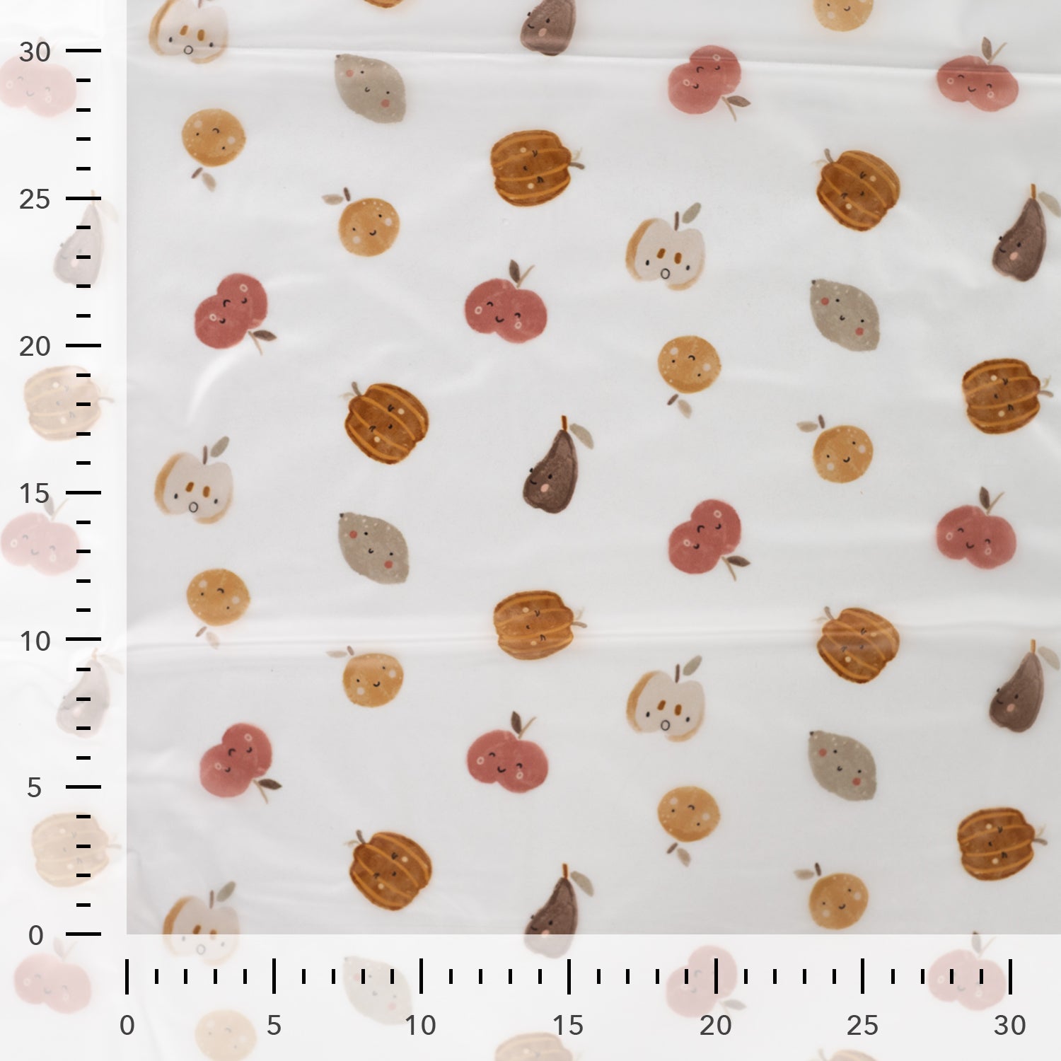 Autumn Harvest Transparent Raincoat Fabric