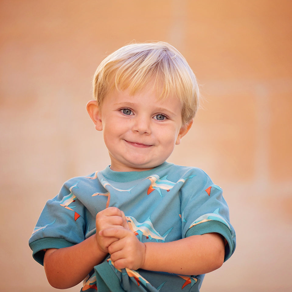 See You At Six - Sharks in Dusty Turquoise French Terry