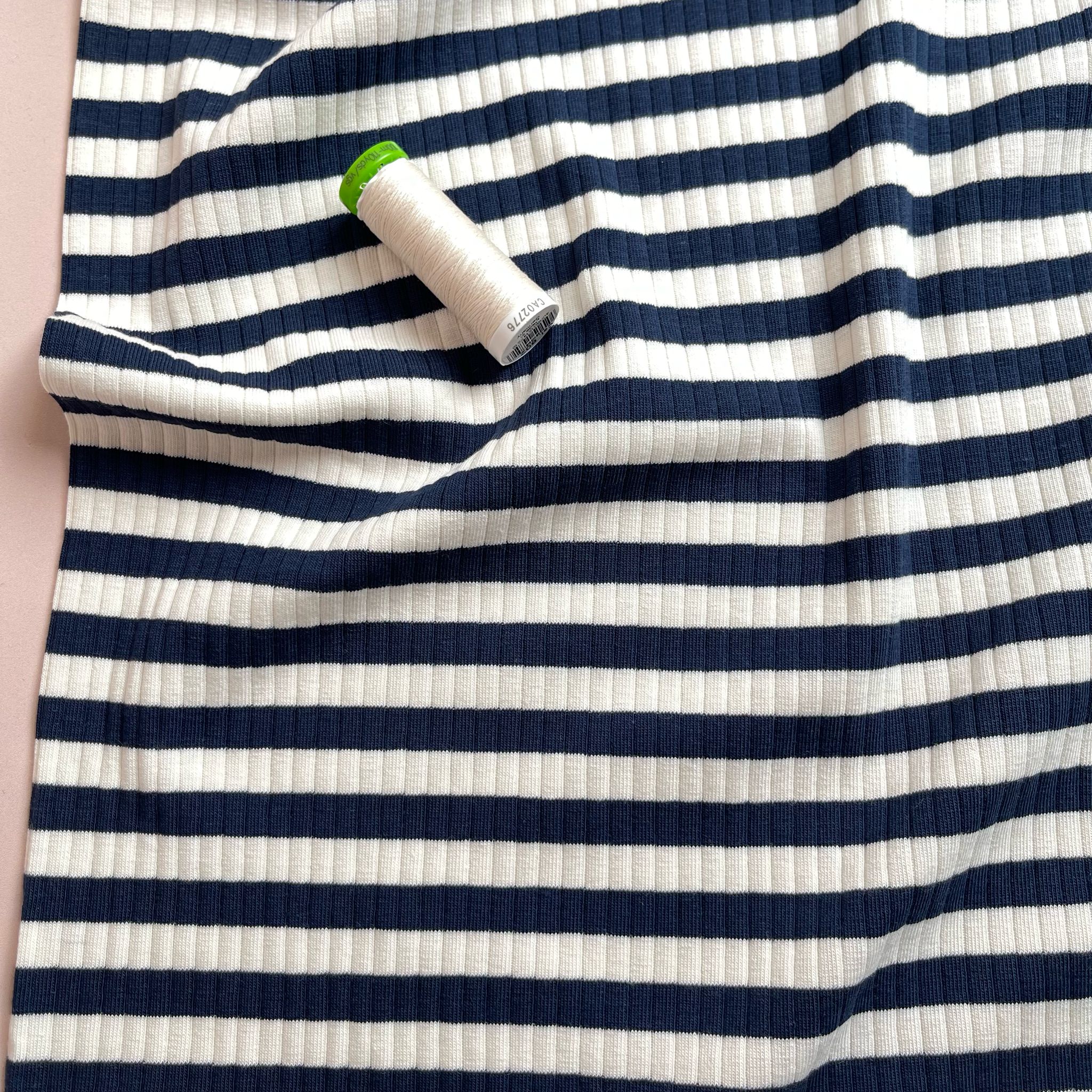 Yarn Dyed Striped Cotton Ribbed Jersey in Navy and White