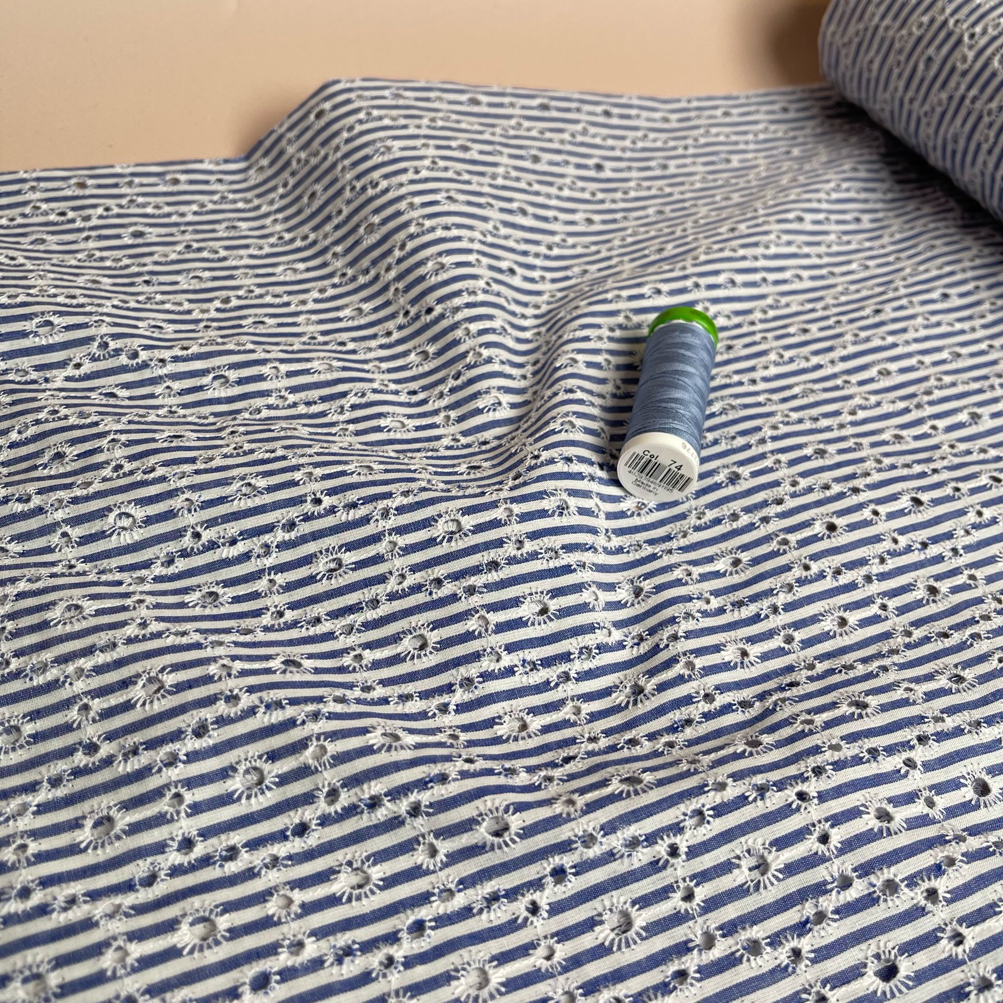 Blue Striped Broderie Anglaise Cotton Fabric