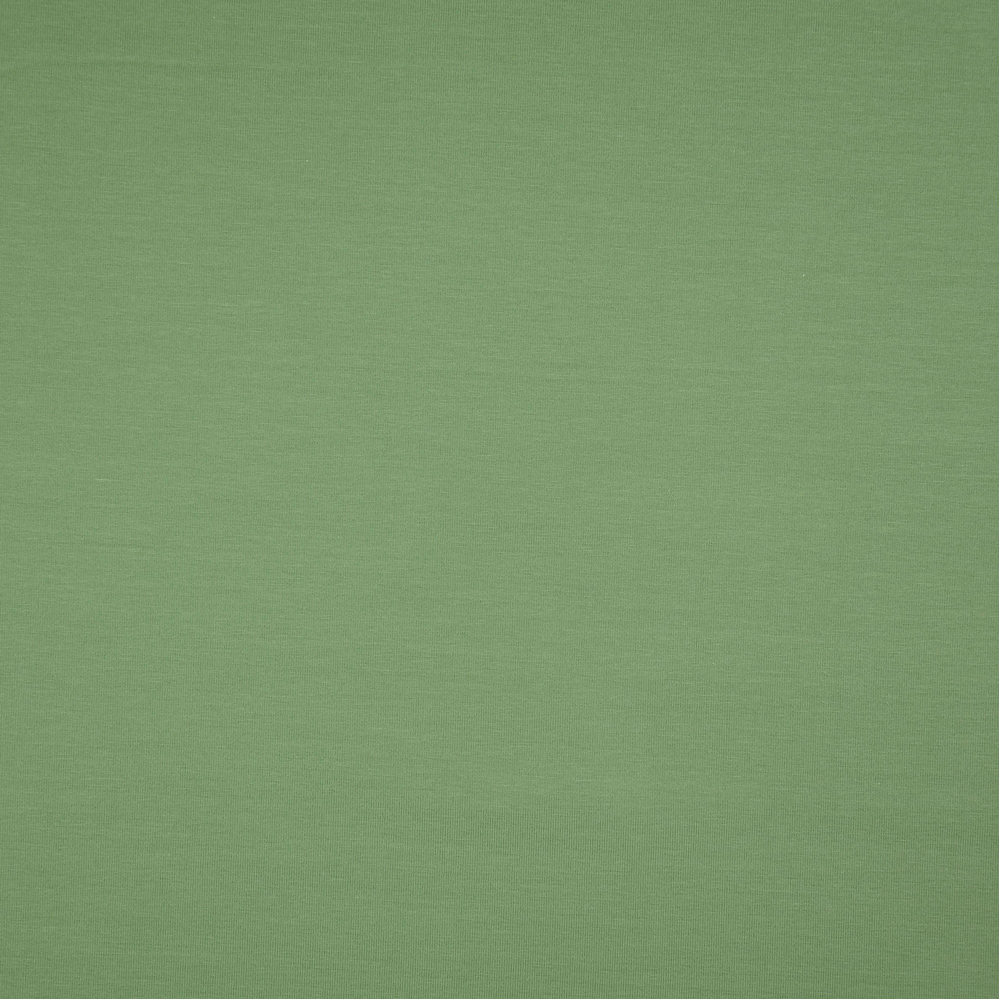 Essential Chic Avocado Green Plain Cotton Jersey Fabric