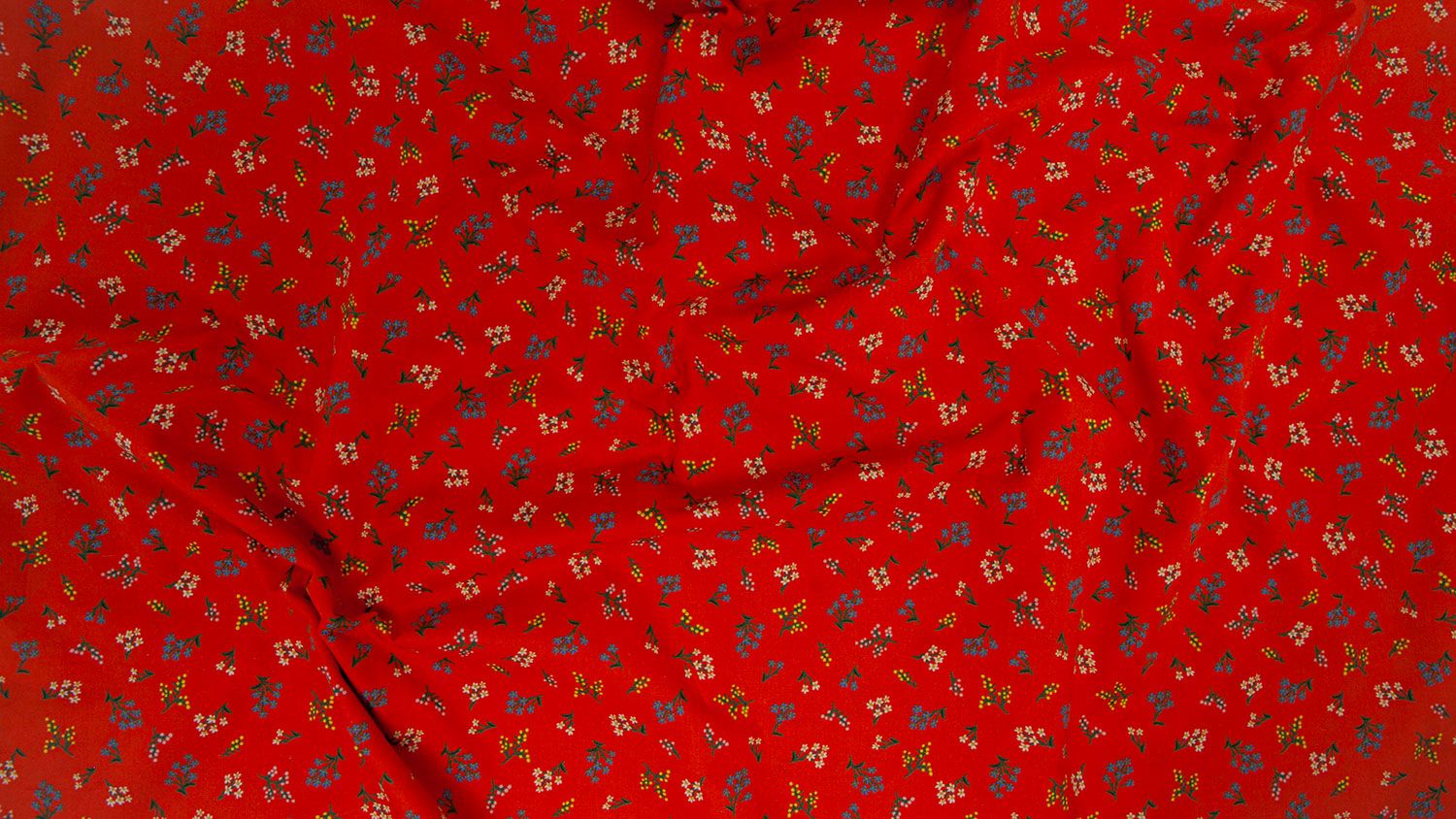 Rifle Paper Co - Petites Fleurs Red Cotton from Strawberry Fields