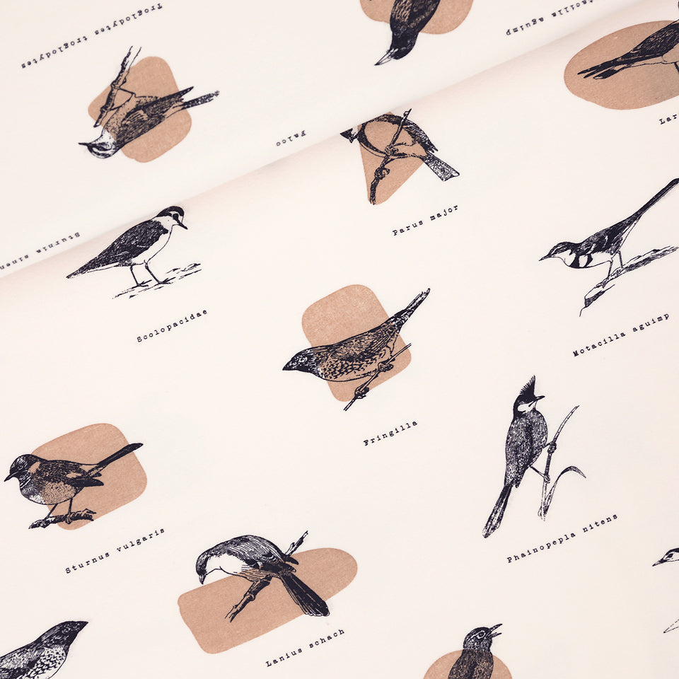 See You At Six - Ornithology Slightly Beige French Terry