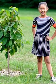 Two Stitches - Molly Dress Sewing Pattern