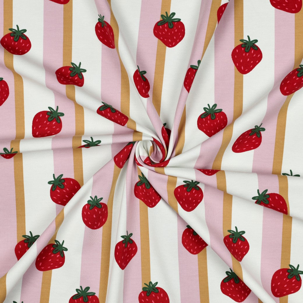 Strawberries in Lanes Pink Cotton Jersey Fabric