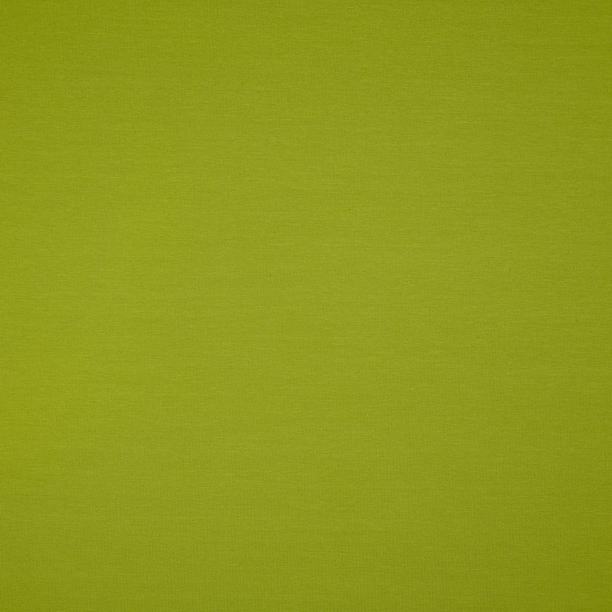 Essential Chic ivy Green Cotton Jersey Fabric