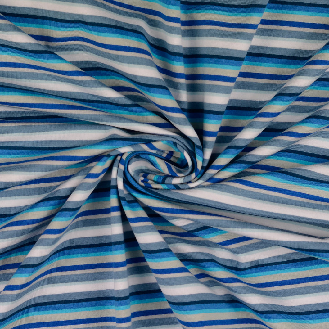 Rainbow Stripe in Blue Cotton Jersey Fabric