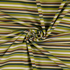 Rainbow Stripe in Green Cotton Jersey Fabric
