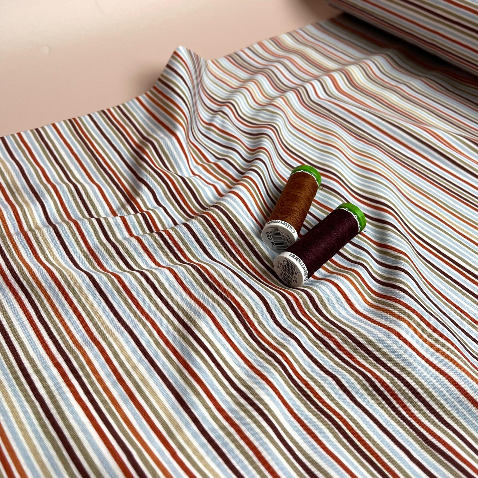 Danish Design - Autumn Stripes Cotton Jersey