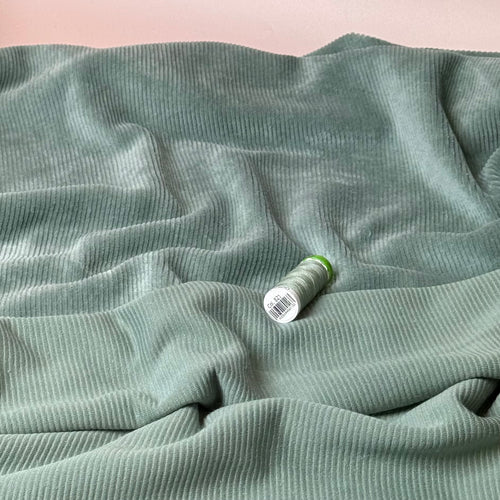Ribbed Velvet Jersey in Sage Green