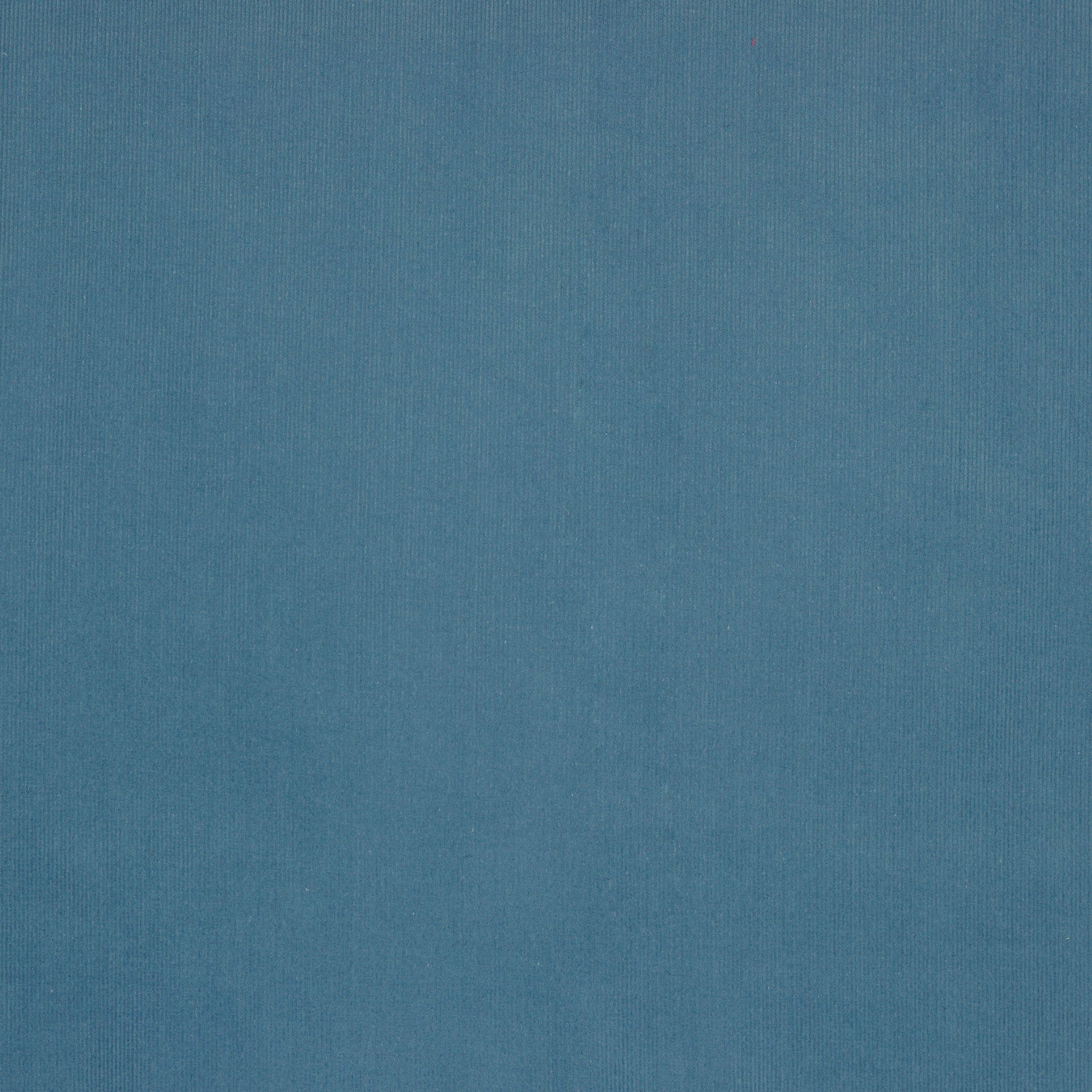 21 Wale Cotton Needlecord in Blue