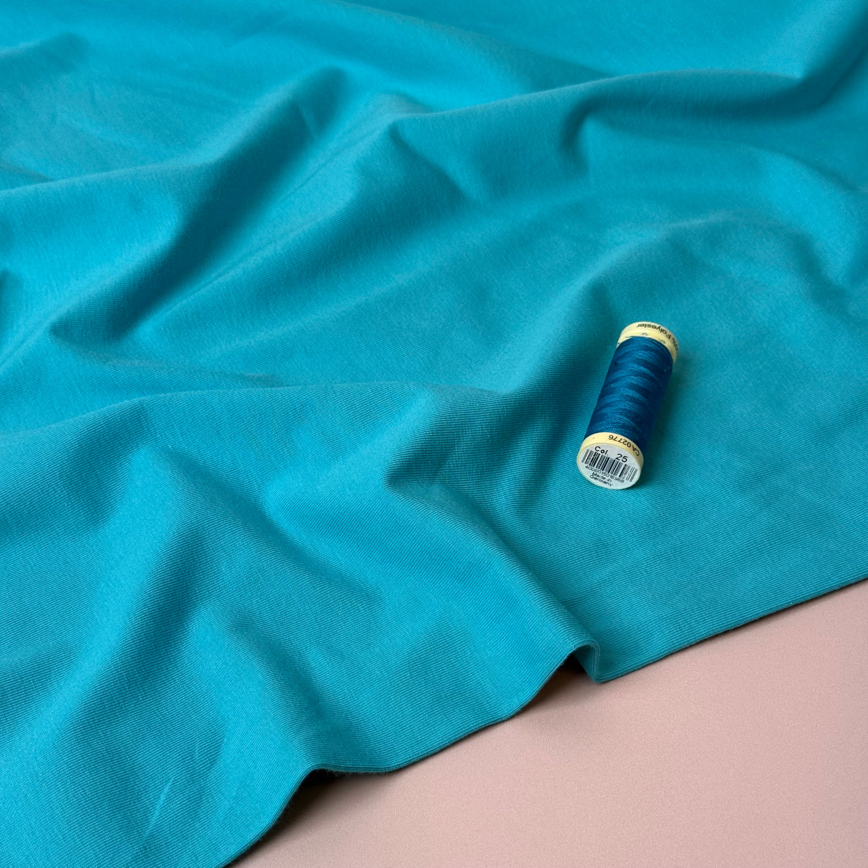 Essential Chic Light Turquoise Plain Cotton Jersey Fabric