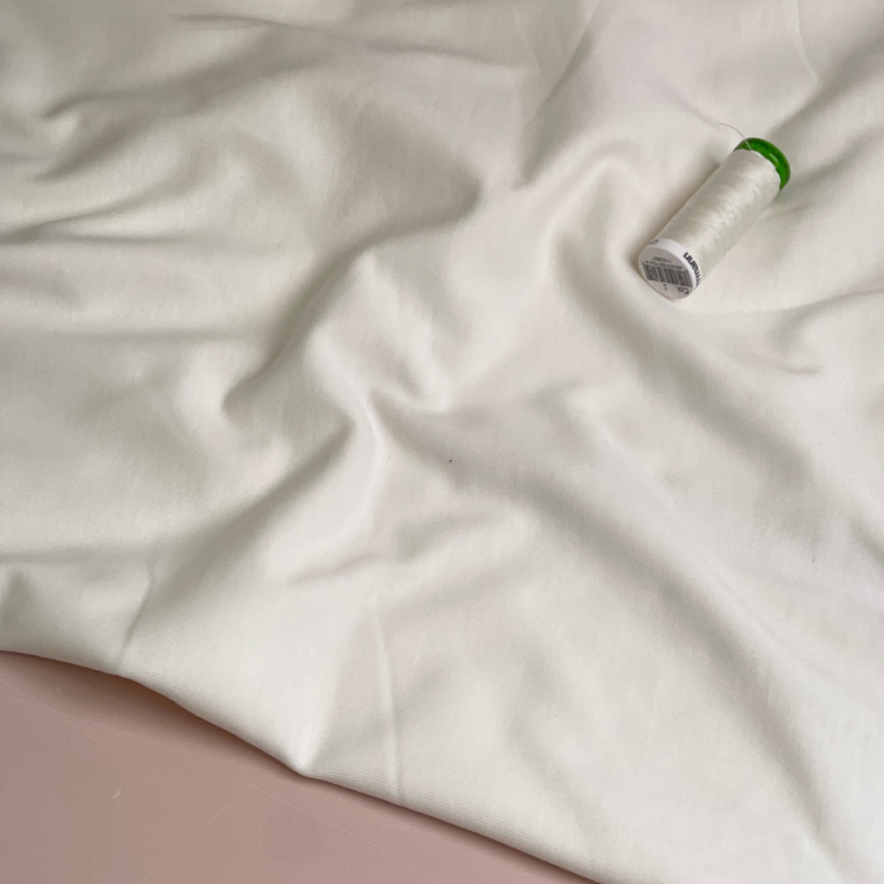 Pure Organic Cotton Jersey in Ecru