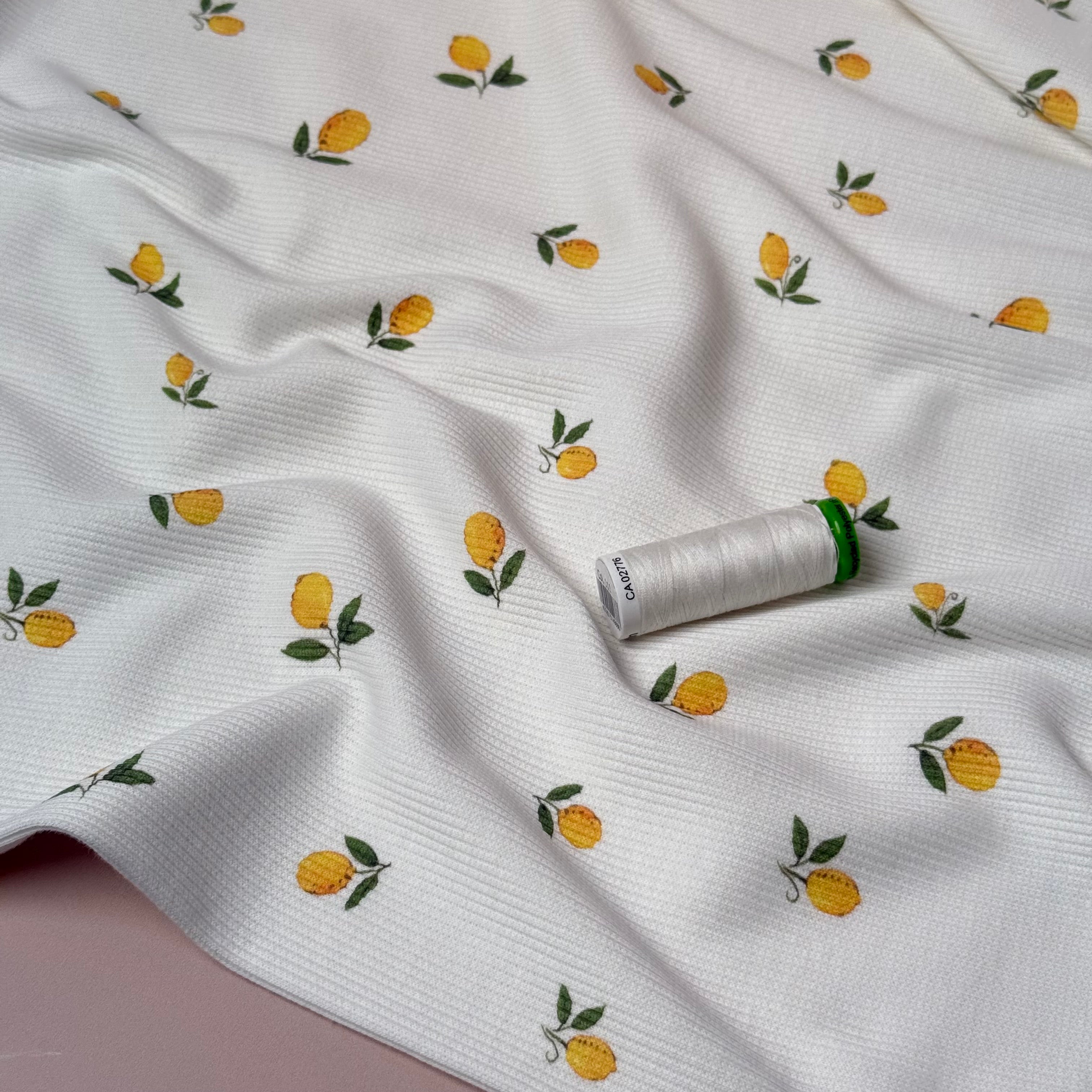 Cute Lemons Cotton Ribbed Jersey