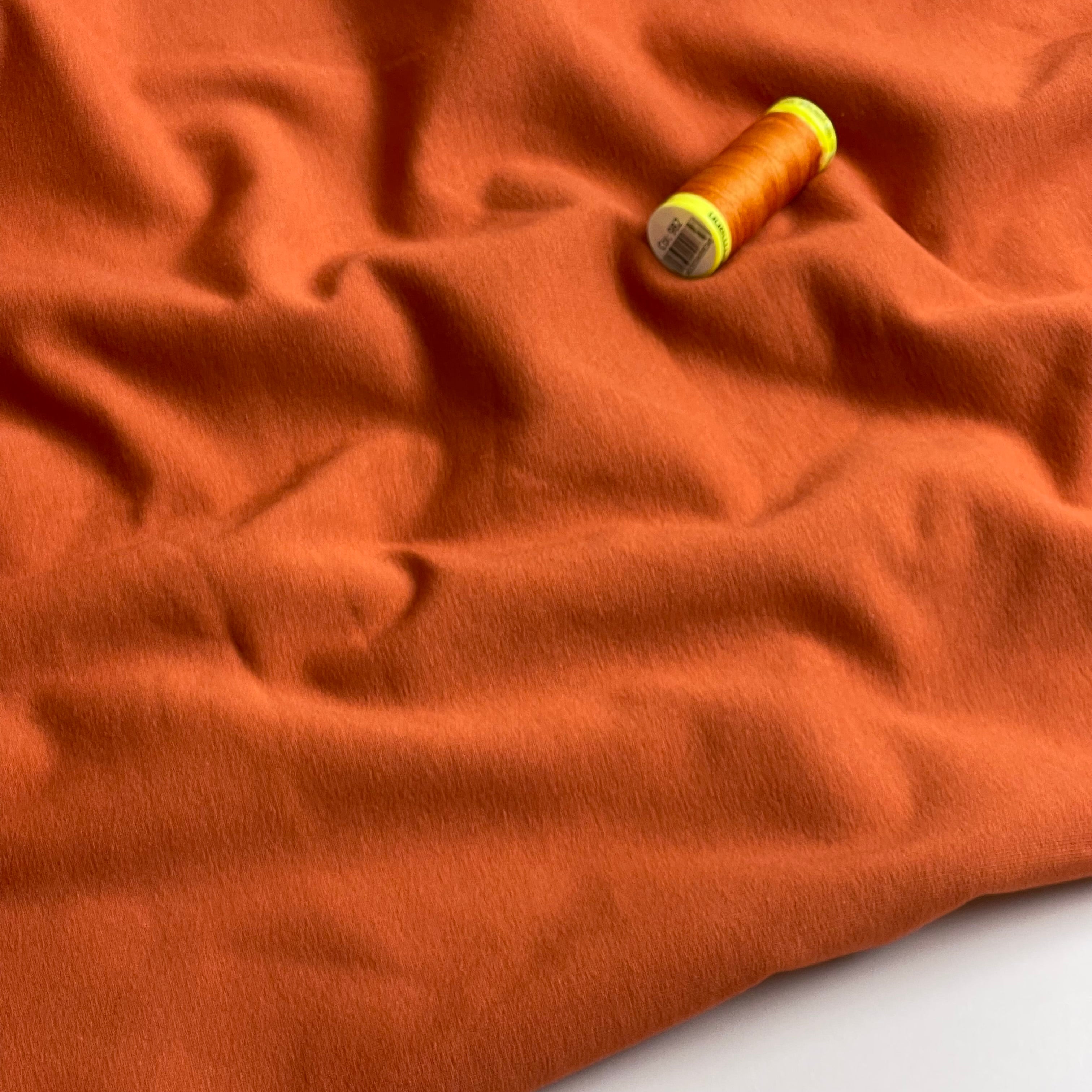 Brushed Sweat-shirting in Rust