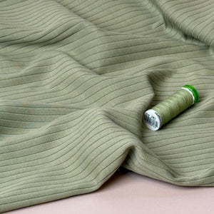 Tea Green Cotton Ribbed Jersey