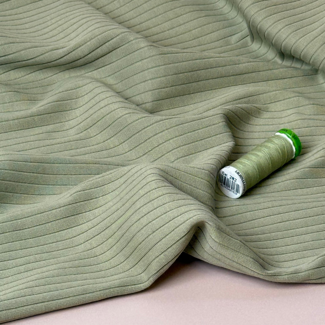 Tea Green Cotton Ribbed Jersey