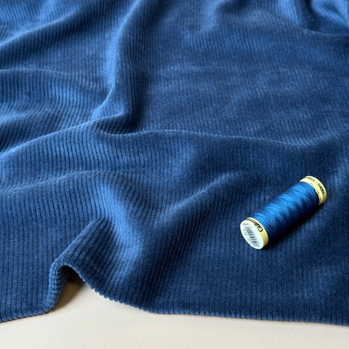 Ribbed Velvet Jersey in Ocean