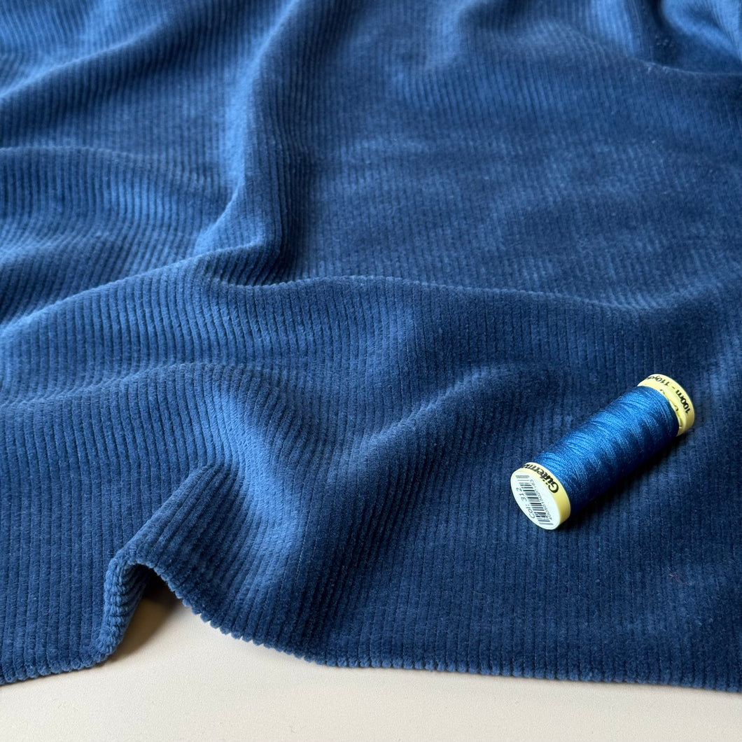 Ribbed Velvet Jersey in Ocean