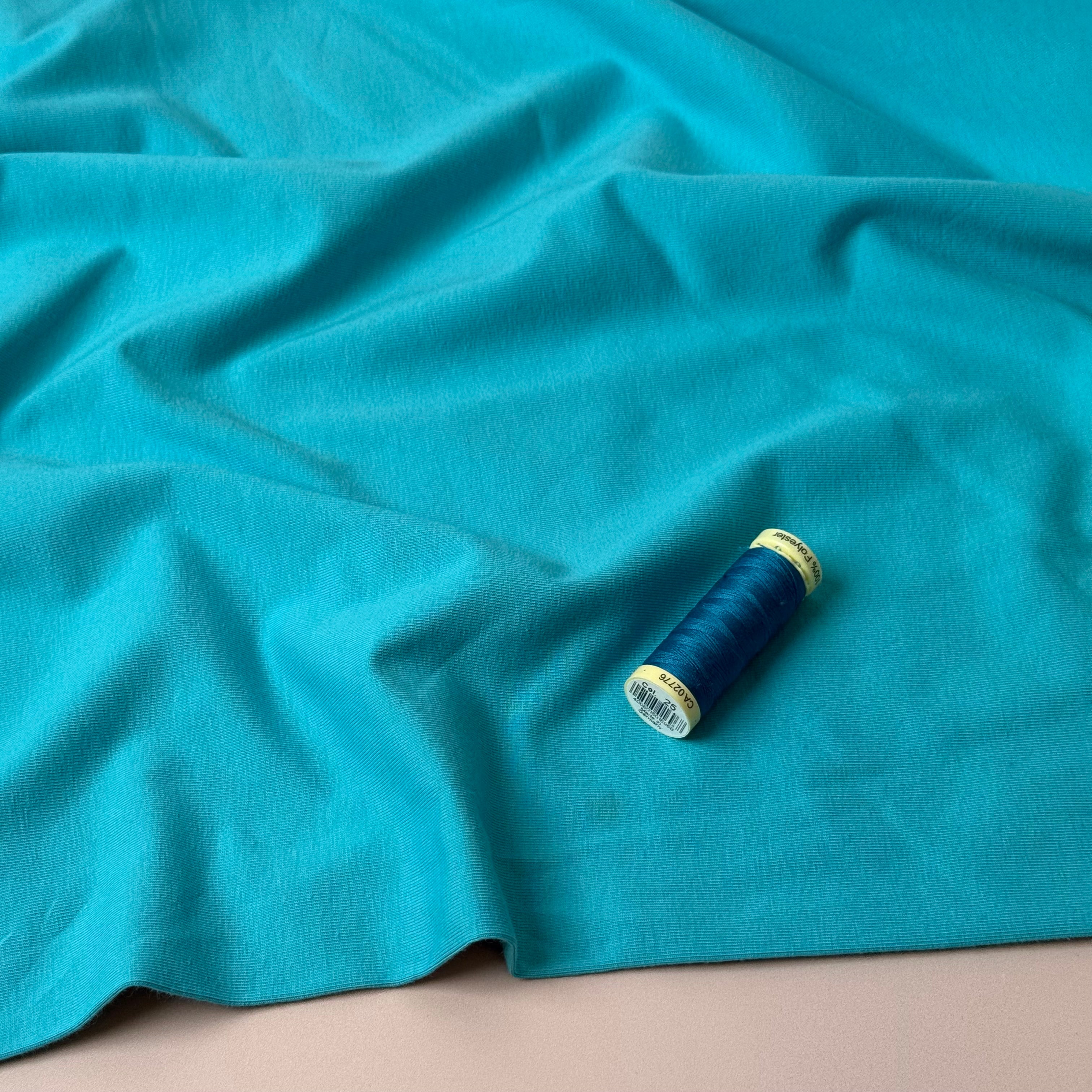 Essential Chic Light Turquoise Plain Cotton Jersey Fabric