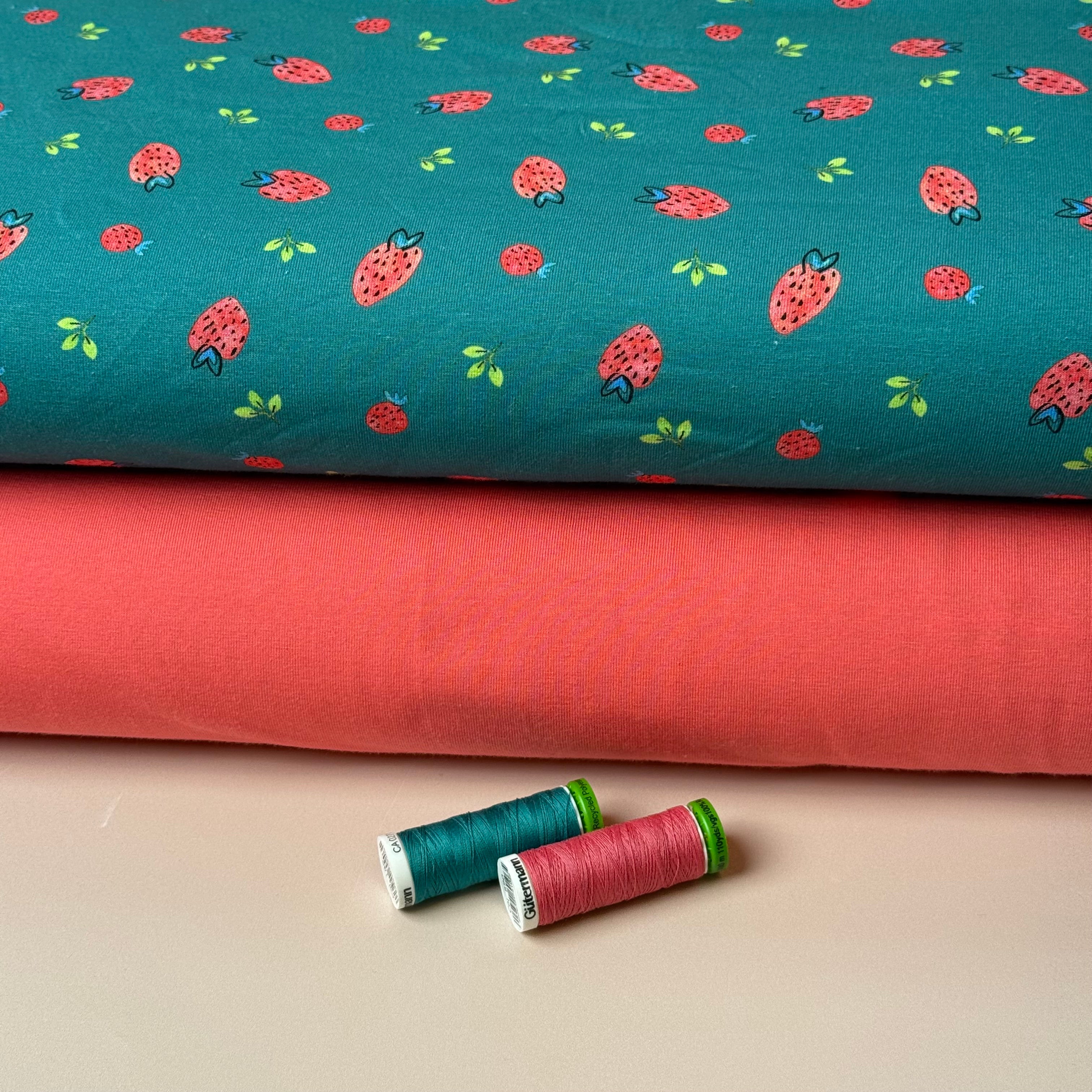 Strawberries on Teal Cotton Jersey Fabric