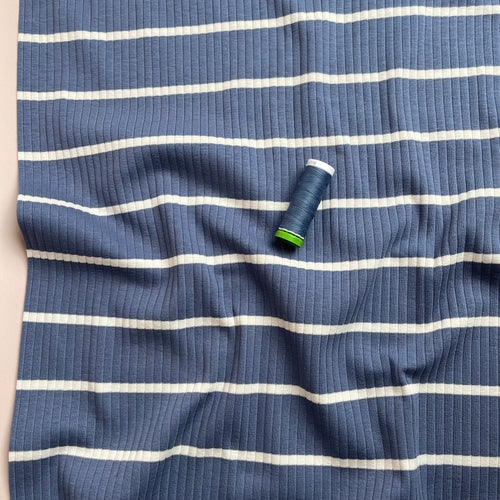 Yarn Dyed Striped Cotton Ribbed Jersey in Blue & Off-white