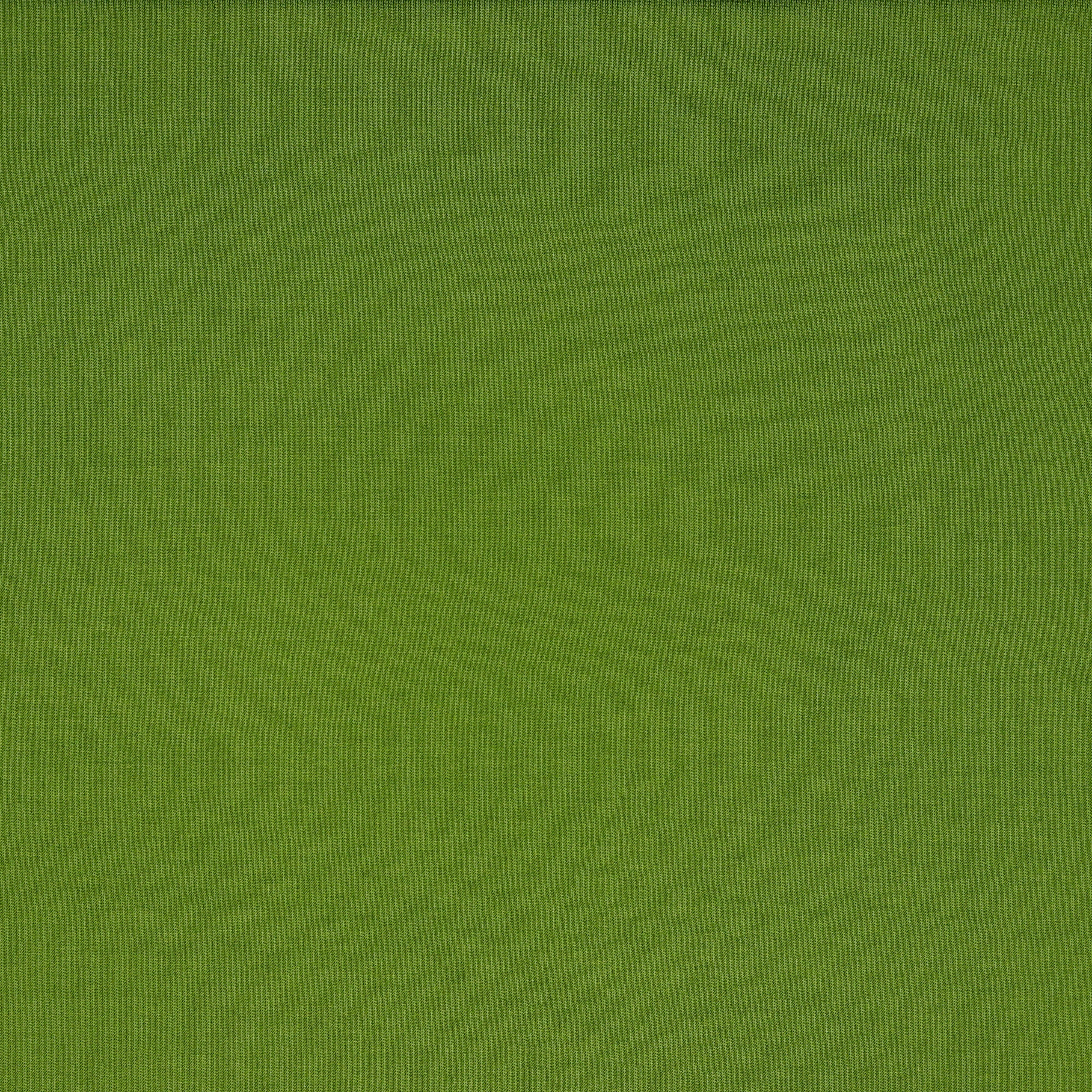 REMNANT 0.57 Metre - Splendour Modal French Terry in Grass Green