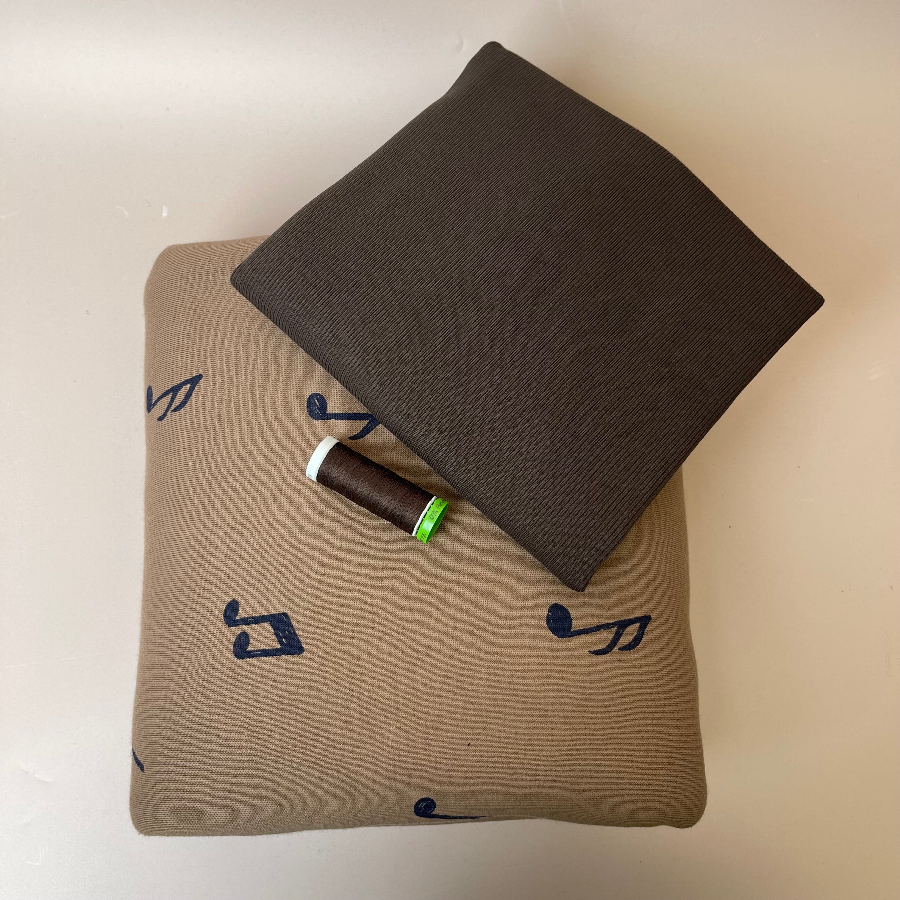 Colour Bundles - Music Notes Camel Sweatshirt & Ribbing