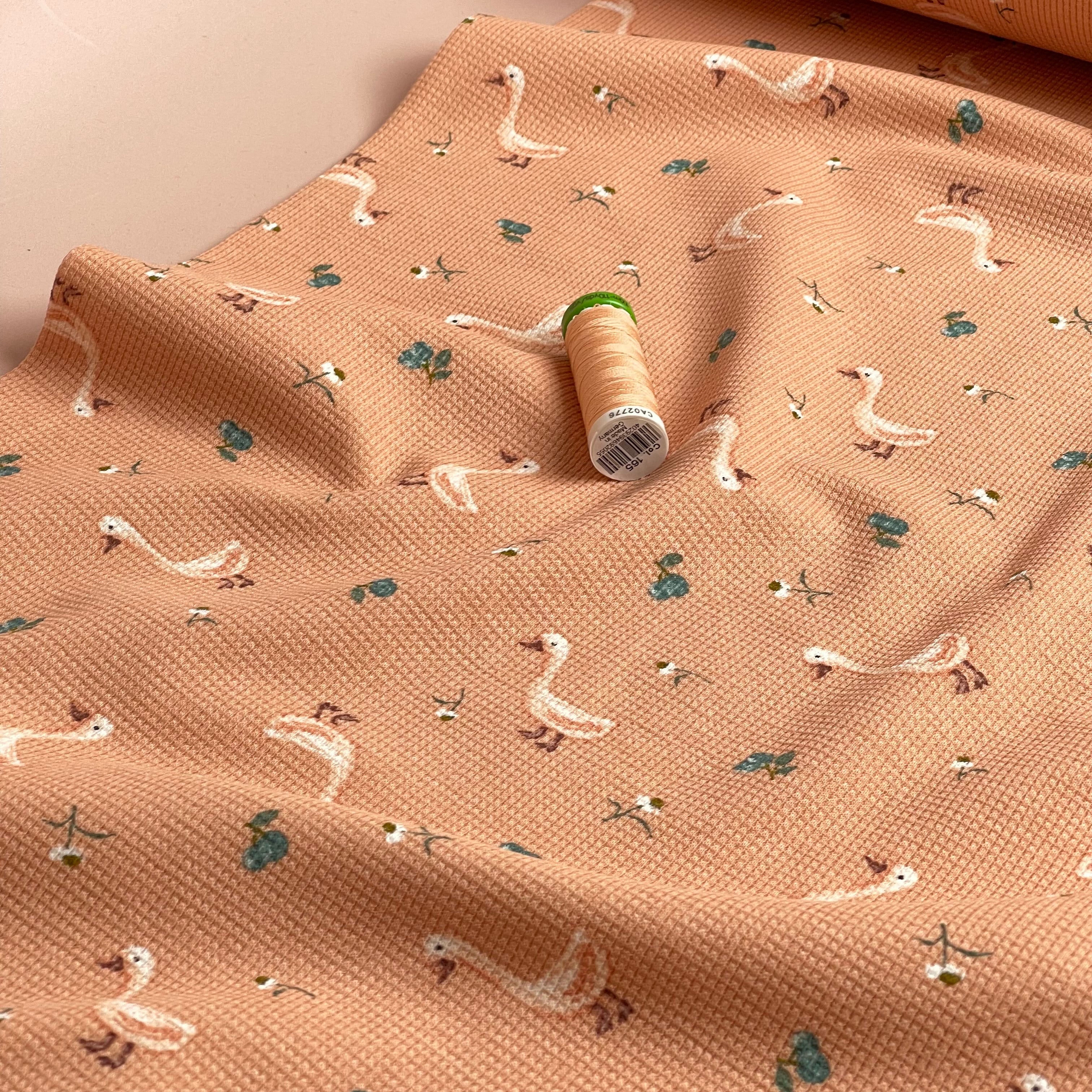 Cute Goslings Cotton Waffle Jersey in Dusky Salmon