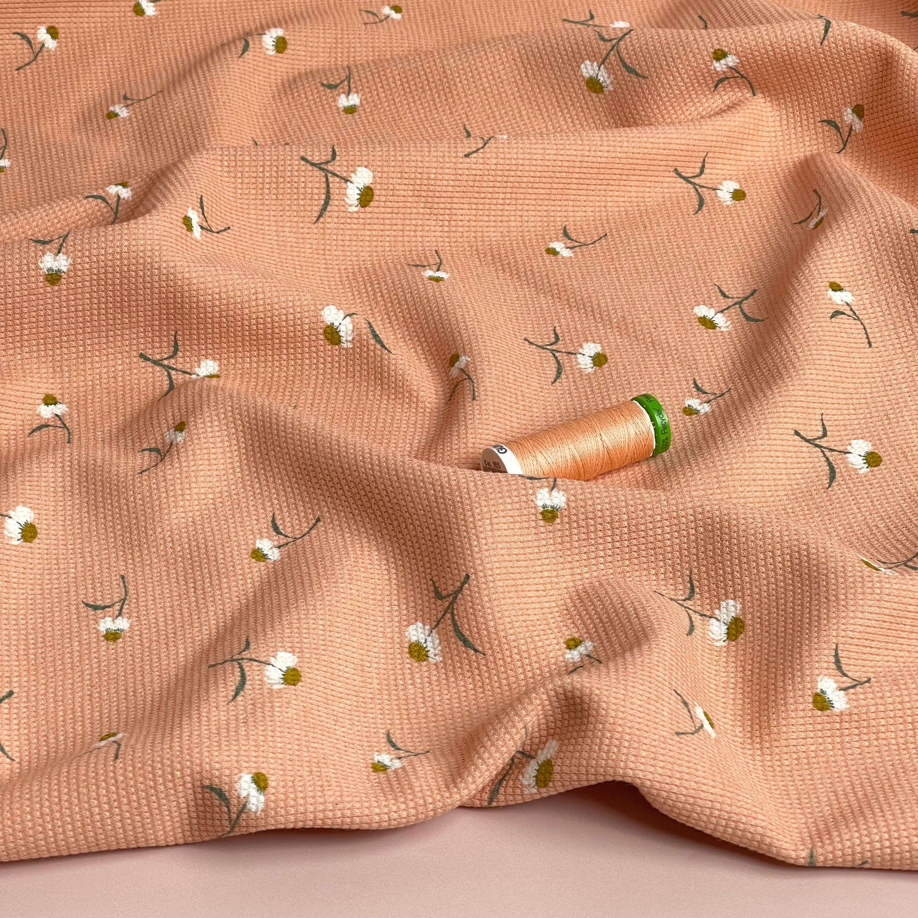 Cute Daisies Cotton Waffle Jersey in Dusky Salmon