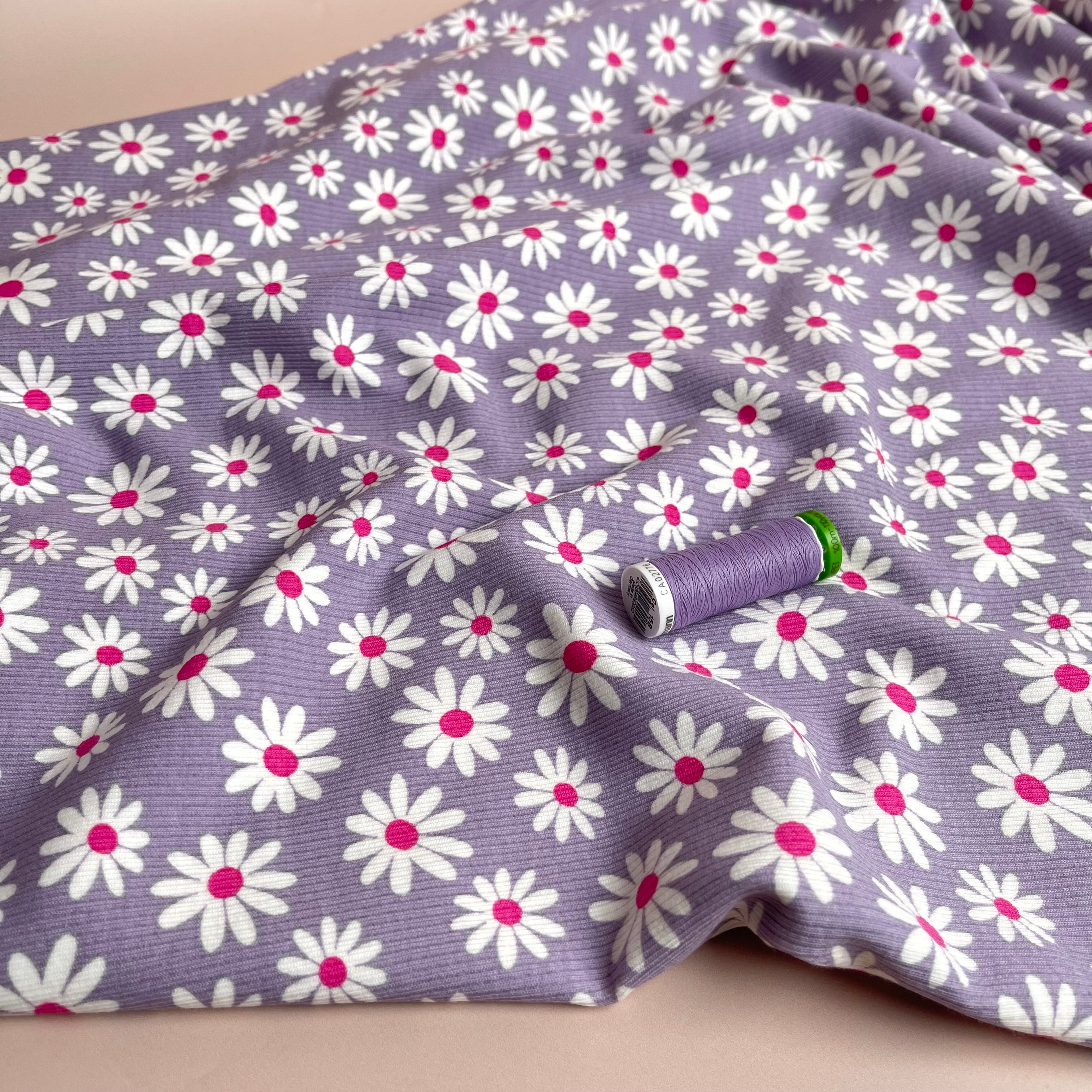 Cute Daisies Cotton Ribbed Jersey in Lilac