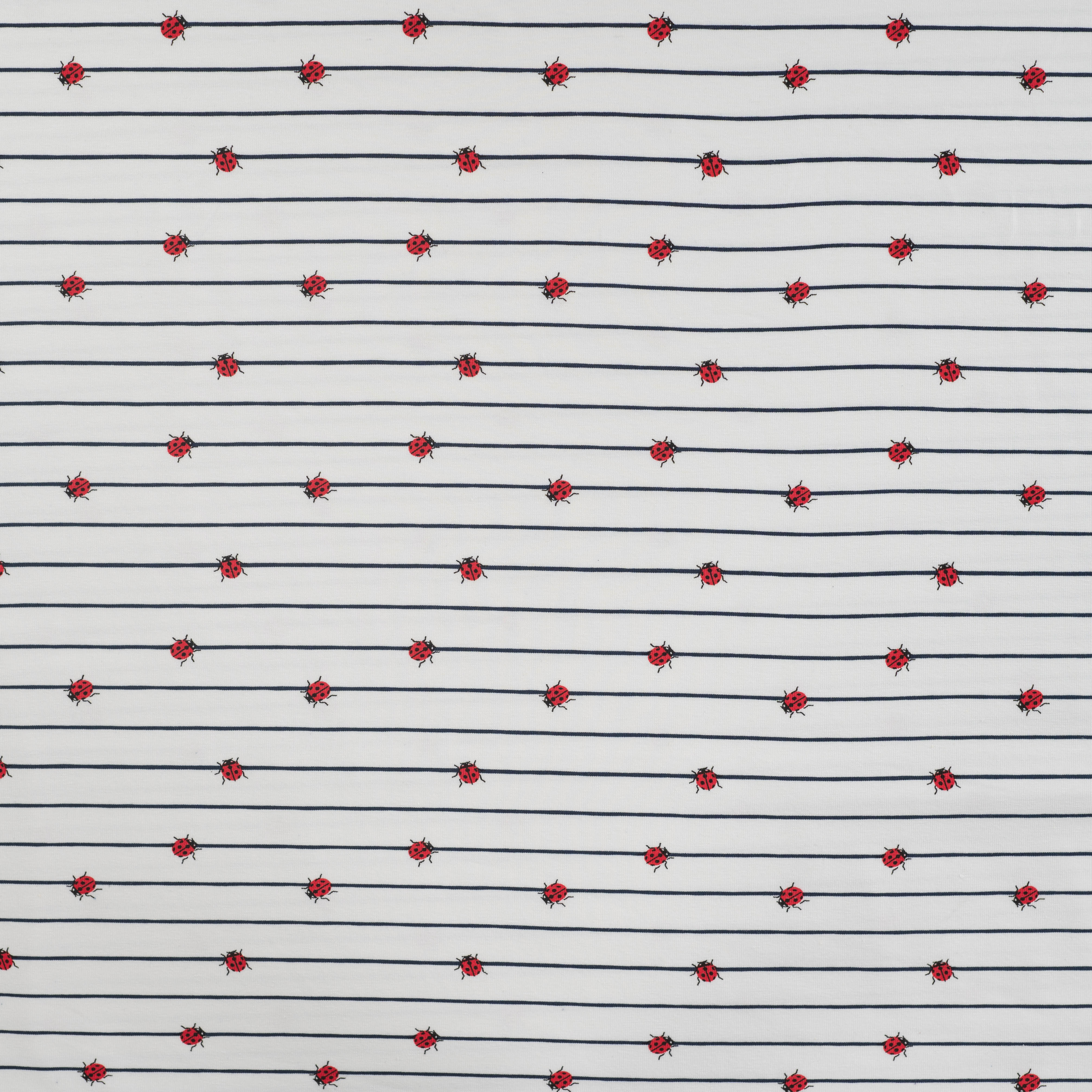 Ladybugs on Stripe Cotton Jersey
