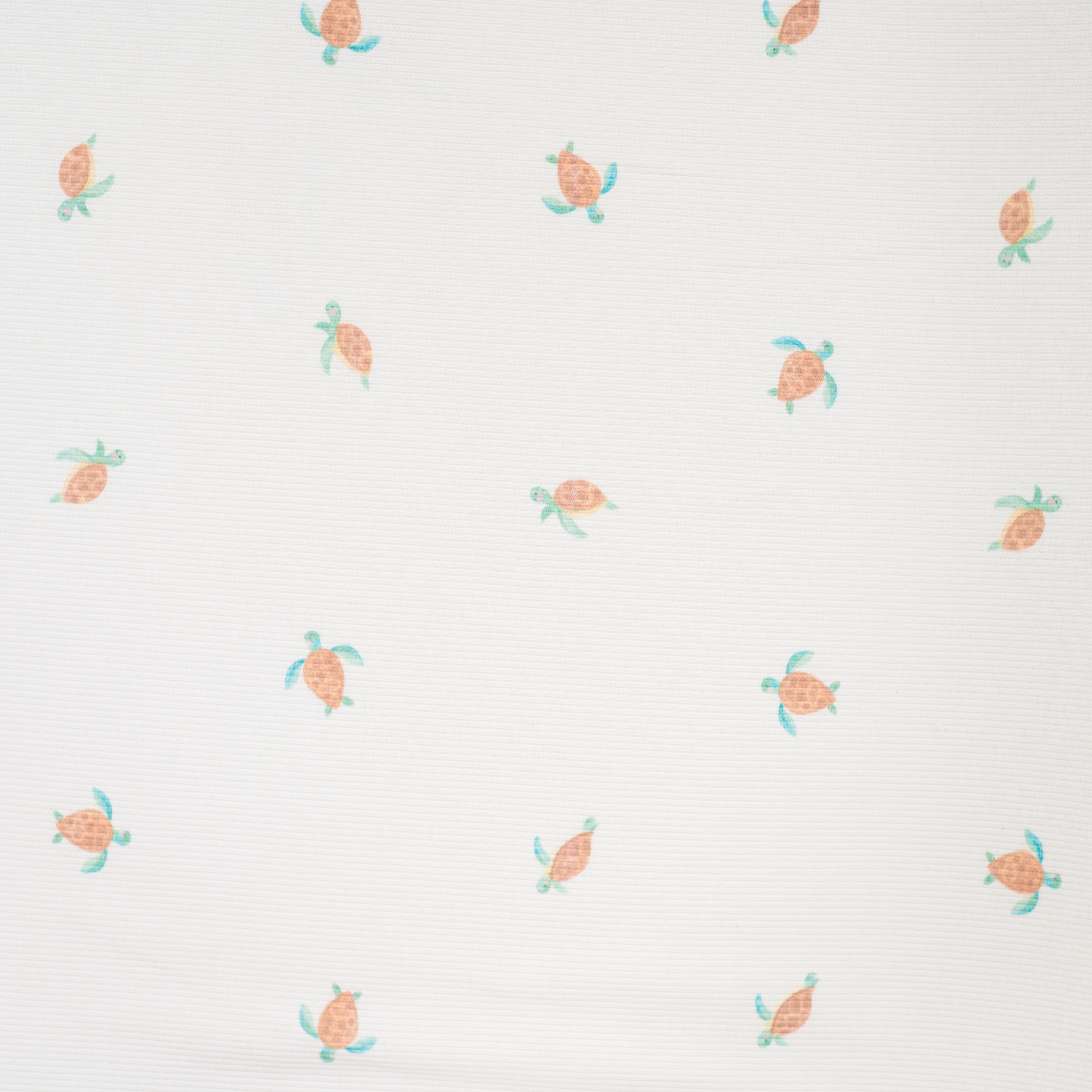 Turtles 2x2 Ribbed Cotton Jersey with Panel Print