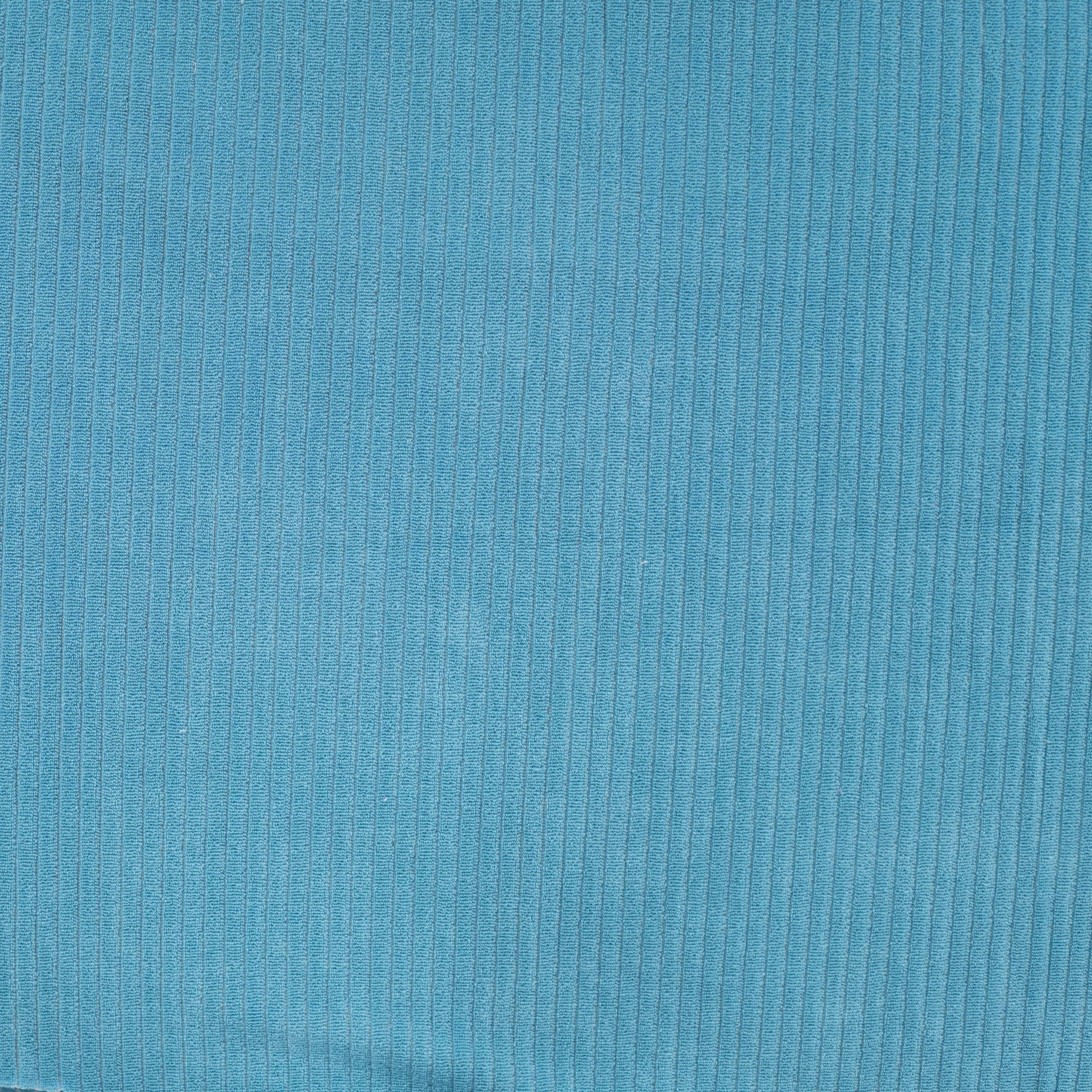 Ribbed Velvet Jersey in Aqua Blue
