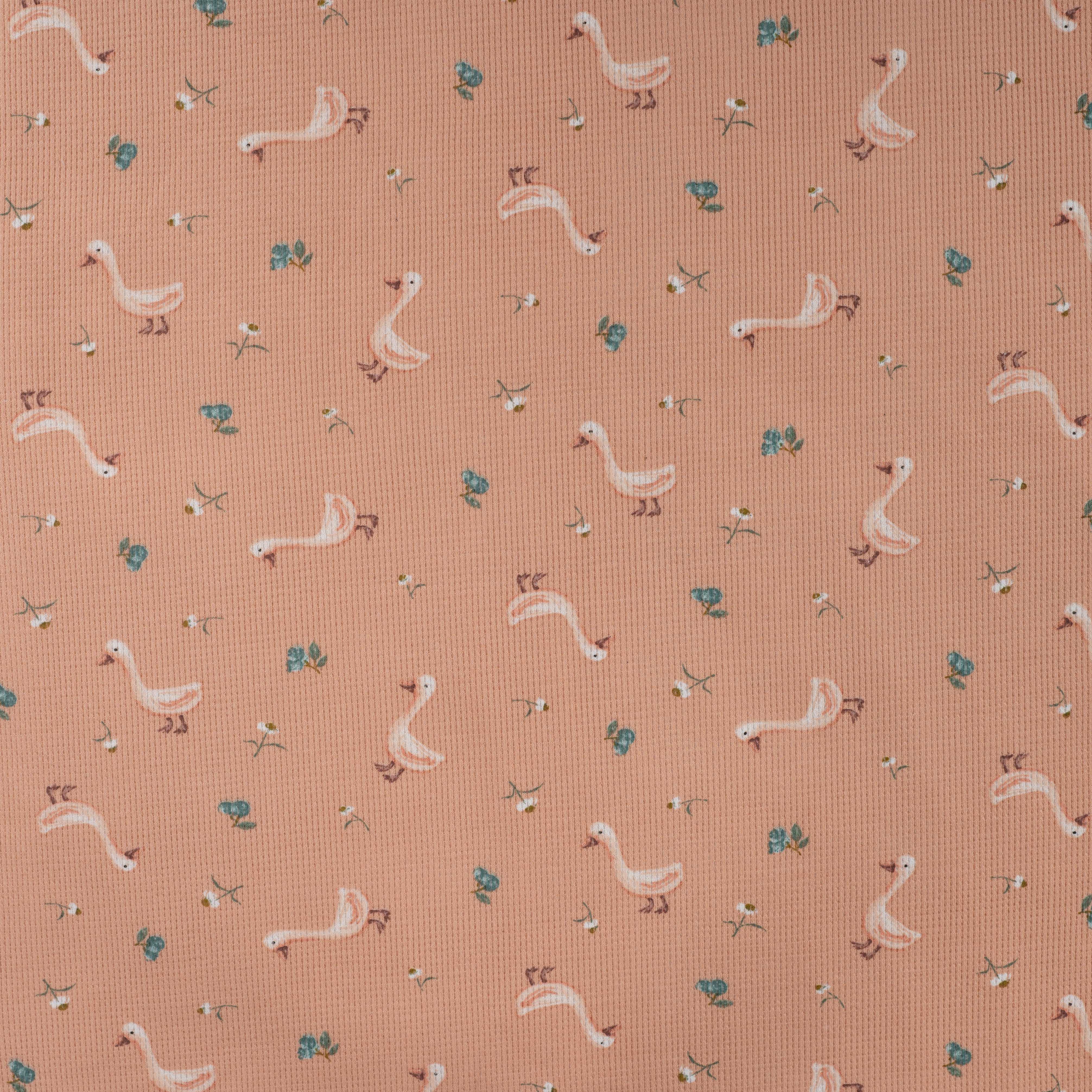 Cute Goslings Cotton Waffle Jersey in Dusky Salmon