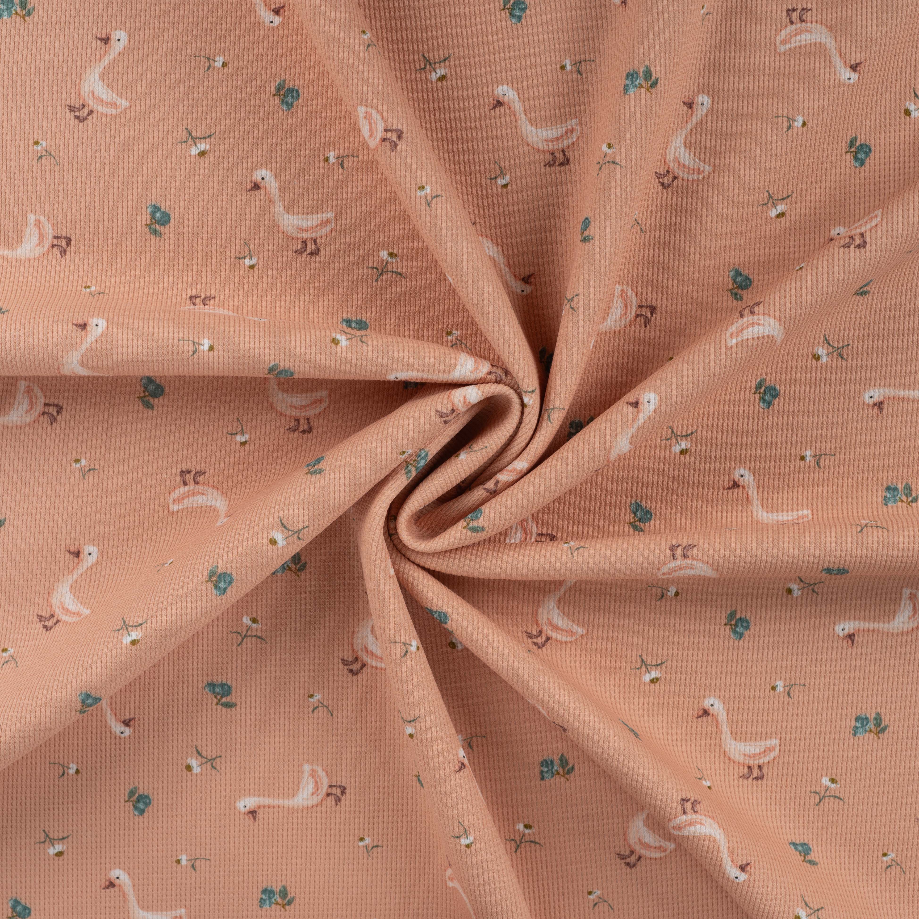 Cute Goslings Cotton Waffle Jersey in Dusky Salmon