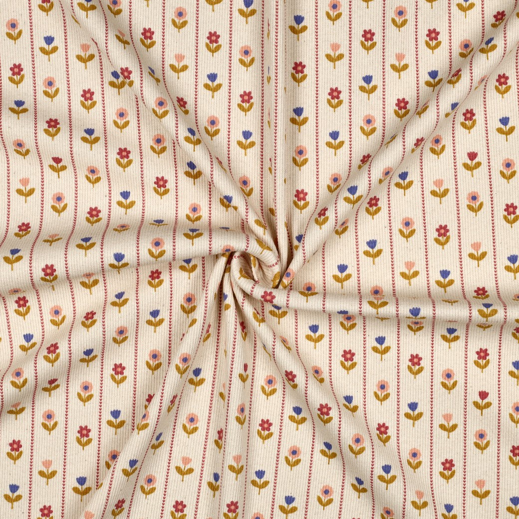 Flower Stripes on Natural Cotton Ribbed Jersey