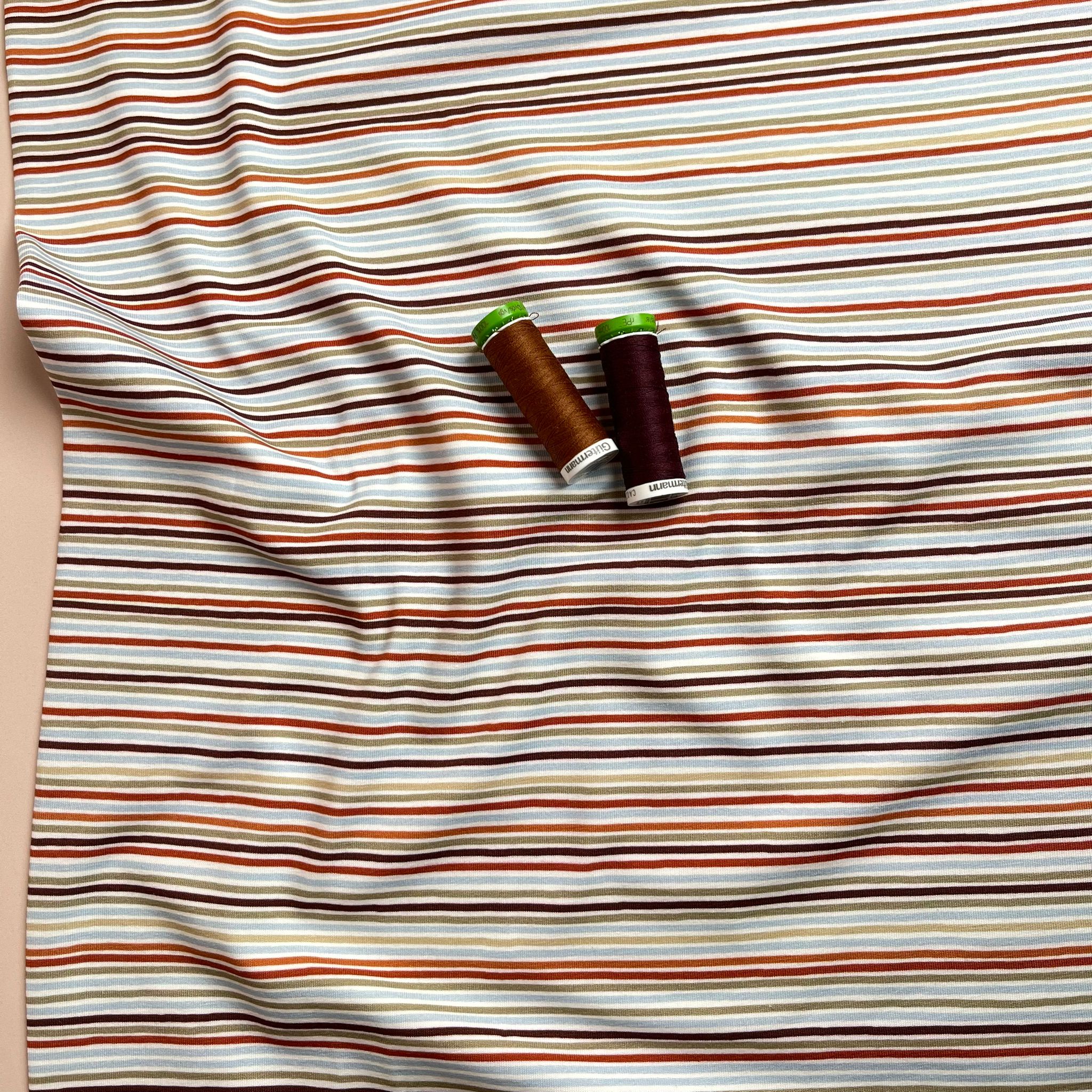 Danish Design - Autumn Stripes Cotton Jersey