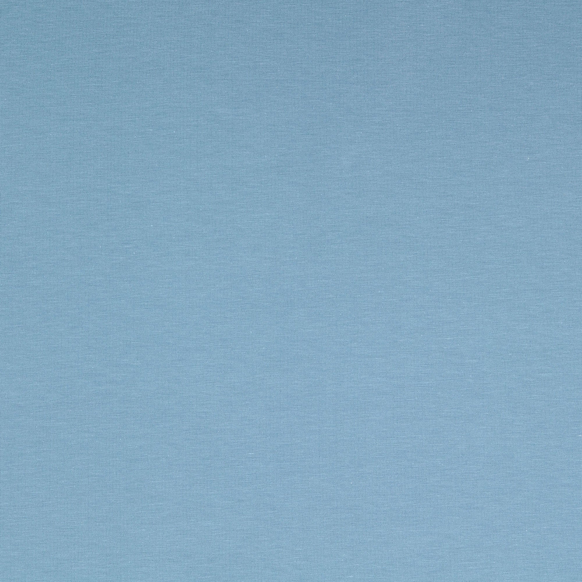 REMNANT 0.30 metre - Eco Chic Blue Moon Bamboo Cotton Jersey Fabric