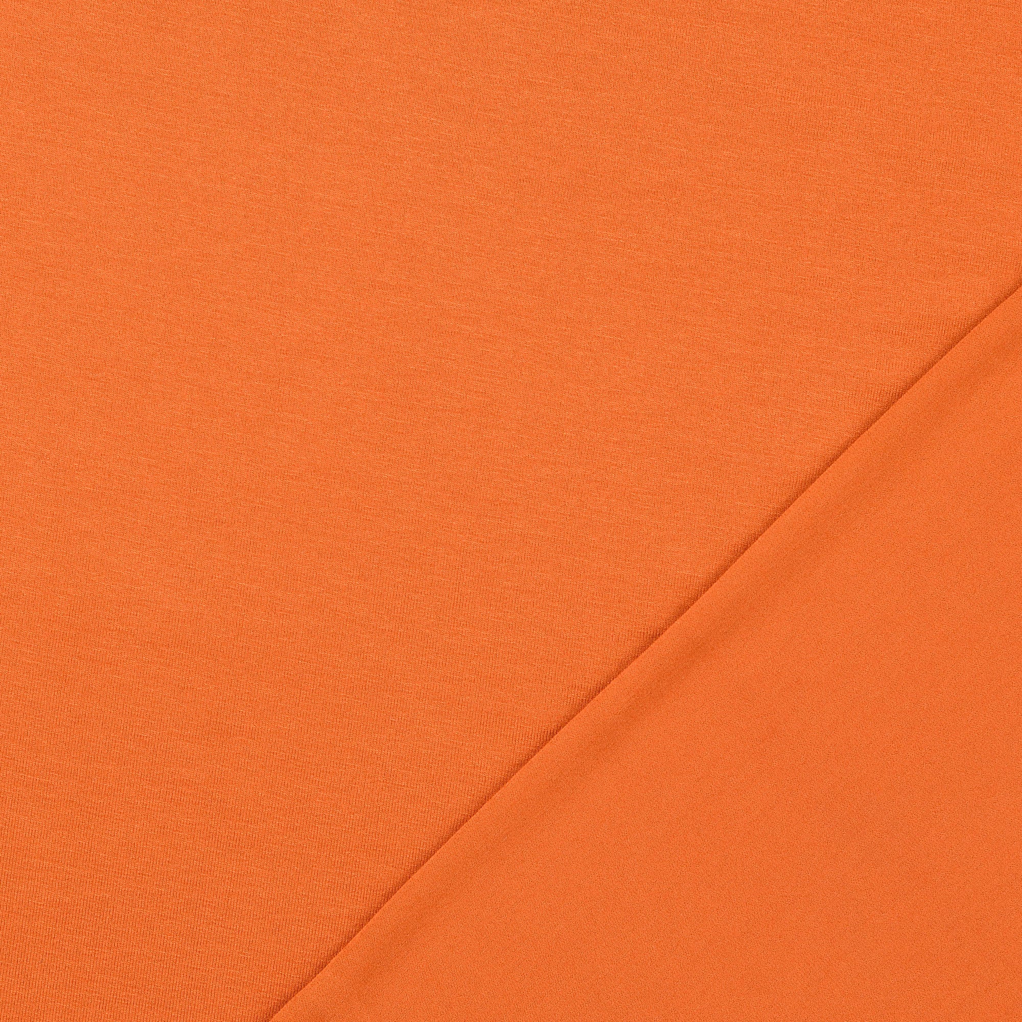 Inspire Rust Solid Viscose Jersey Fabric
