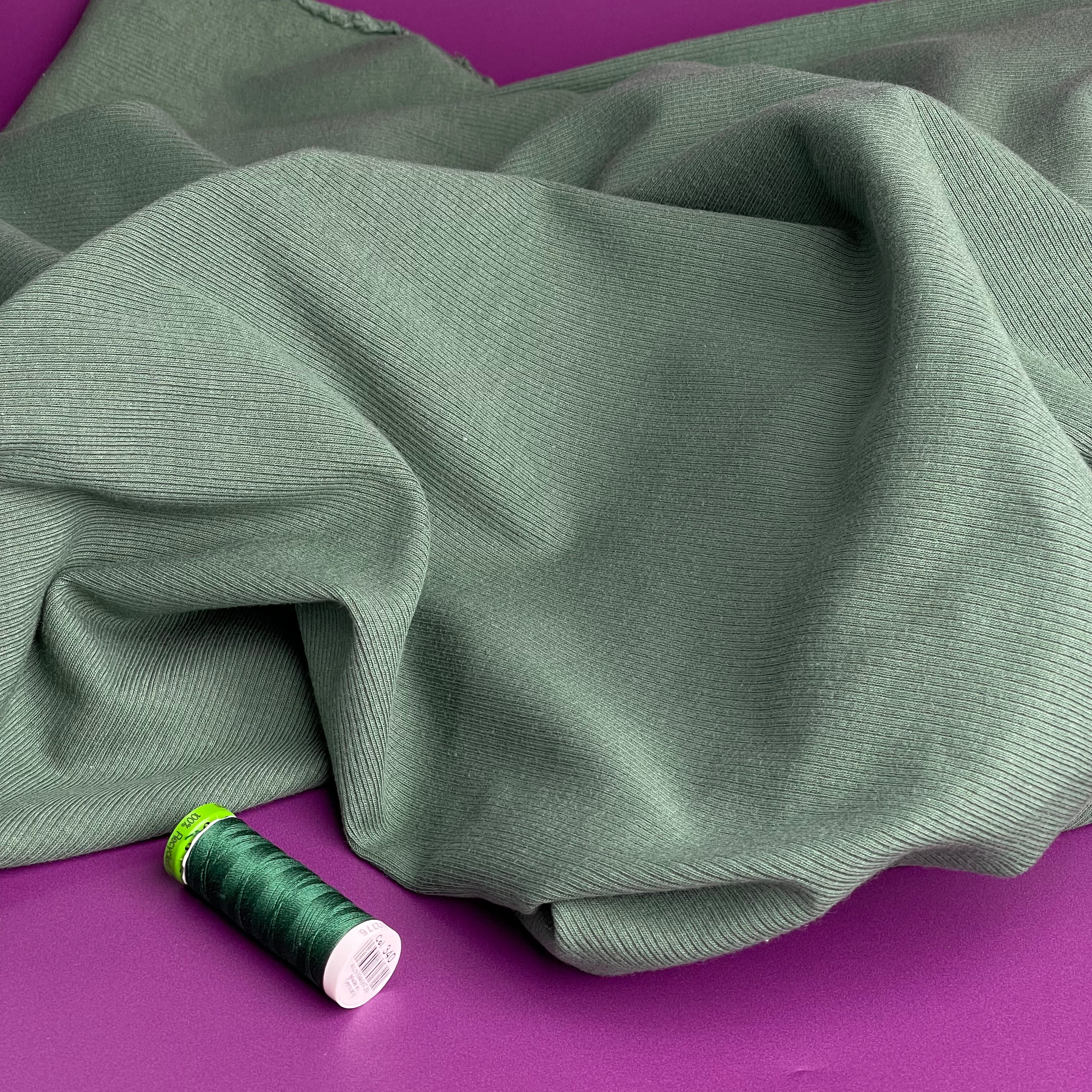 Cosy Cotton Ribbed Jersey - Frosty Spruce