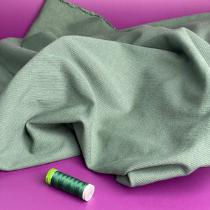 Cosy Cotton Ribbed Jersey - Frosty Spruce